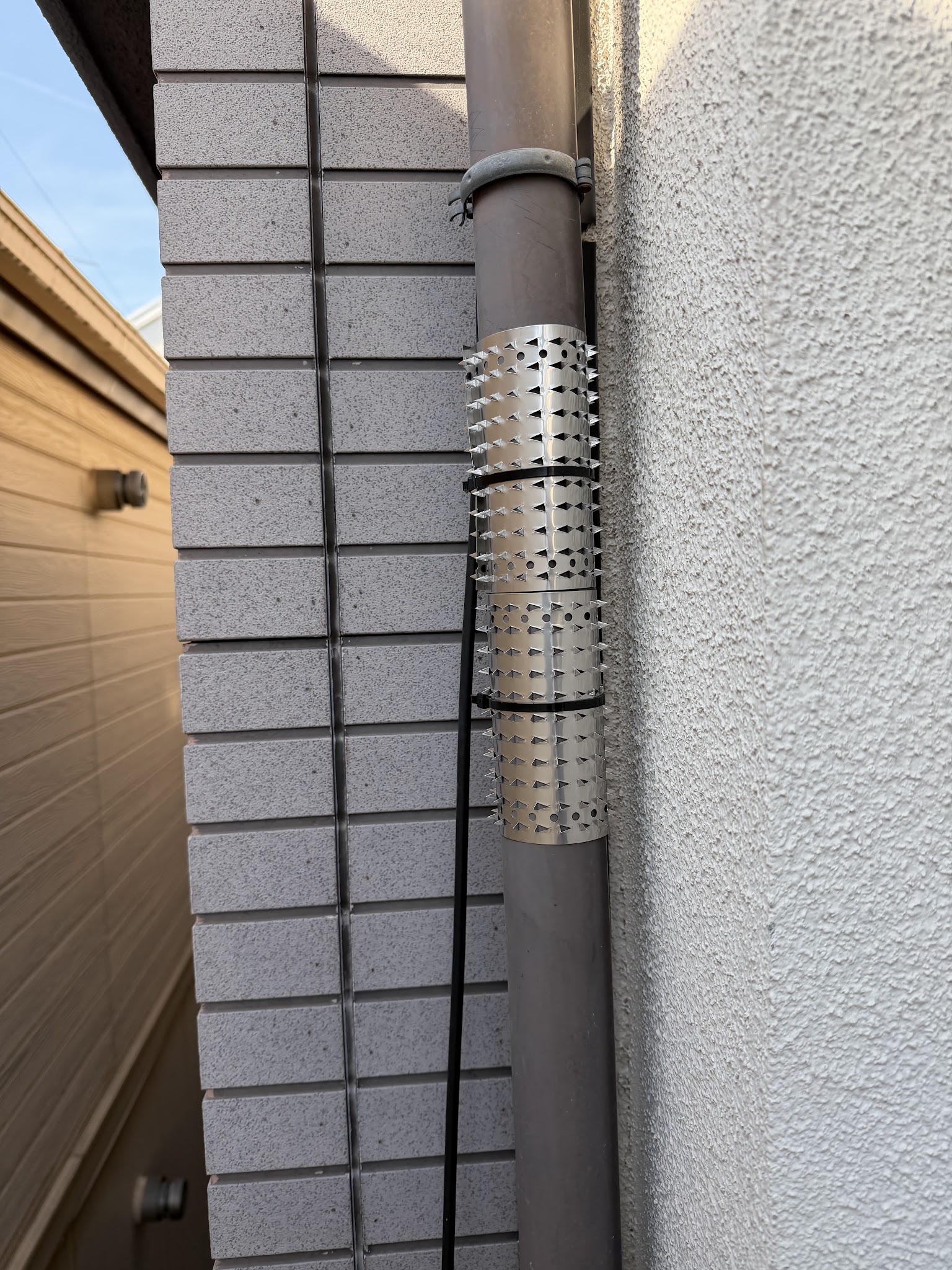 東京都目黒区ネズミ駆除現場の写真4