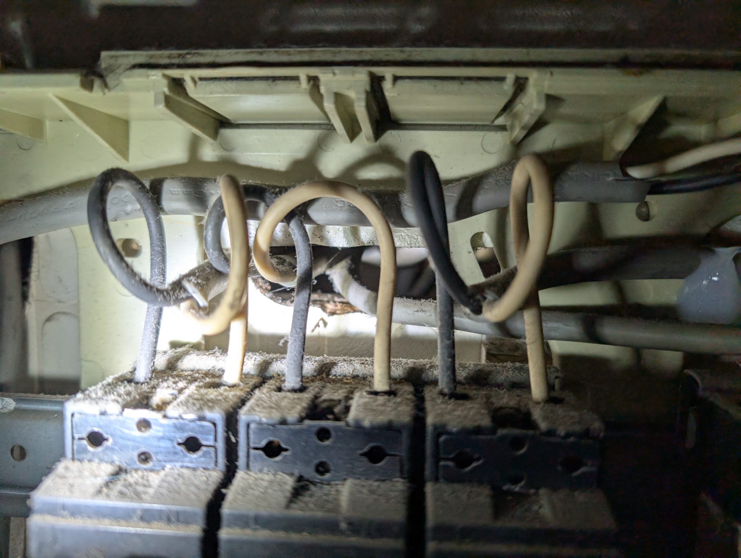 千葉県千葉市ネズミ駆除現場の写真4