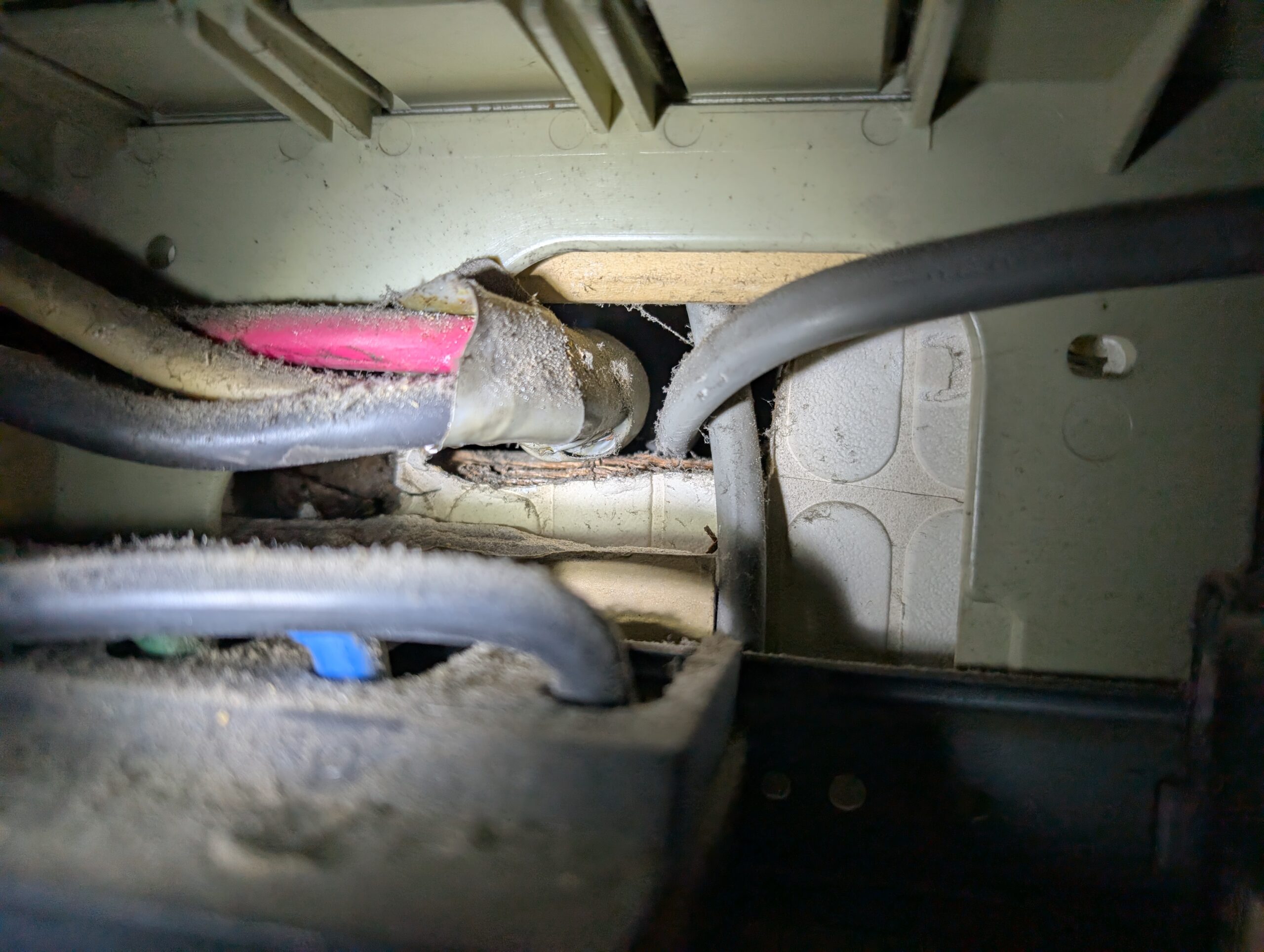 千葉県千葉市ネズミ駆除現場の写真18