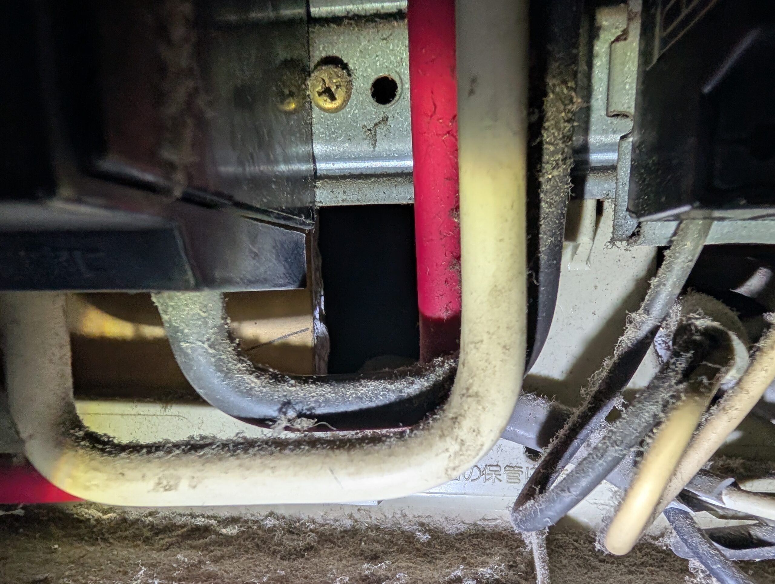 千葉県千葉市ネズミ駆除現場の写真8