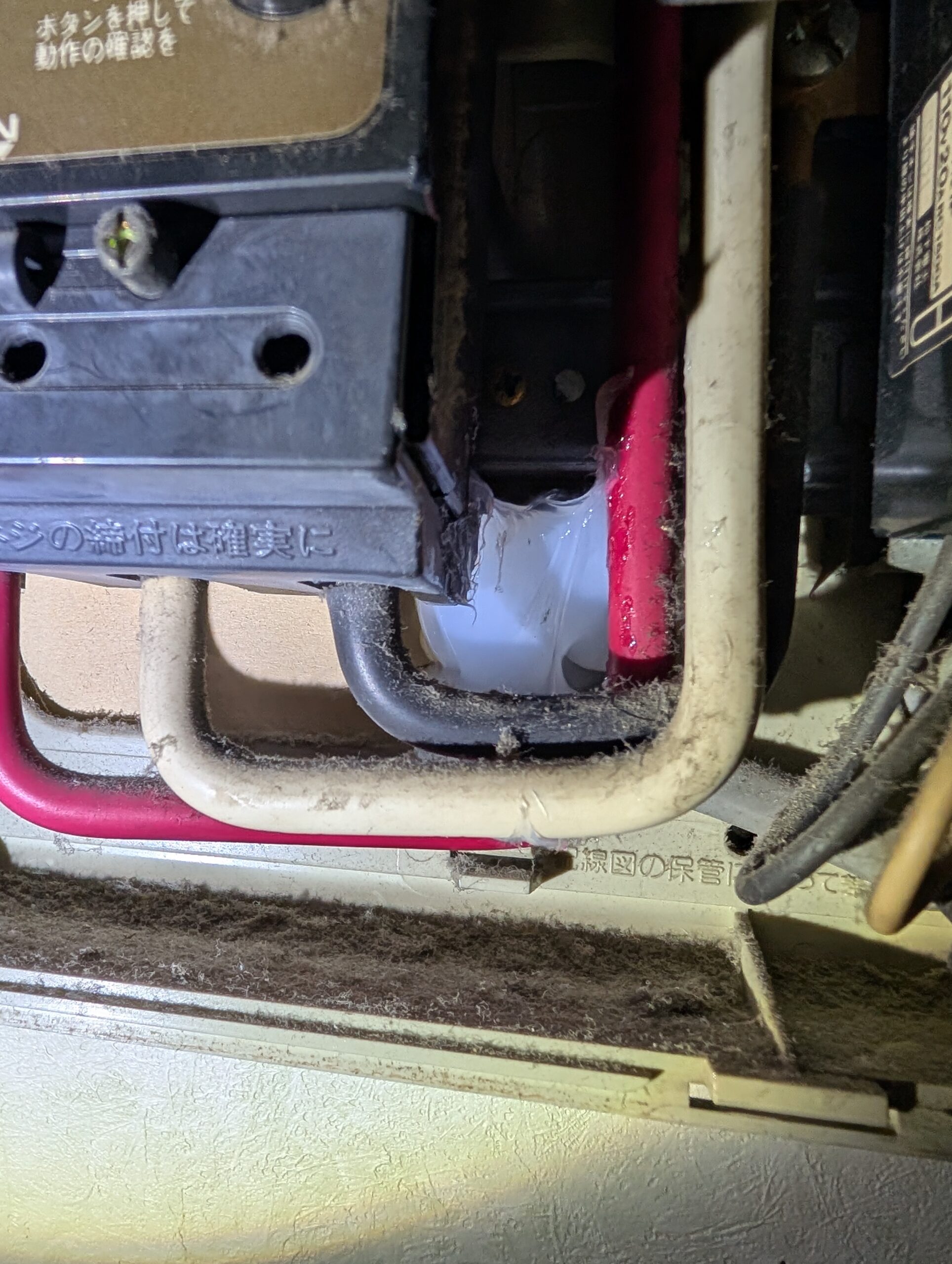 千葉県千葉市ネズミ駆除現場の写真21