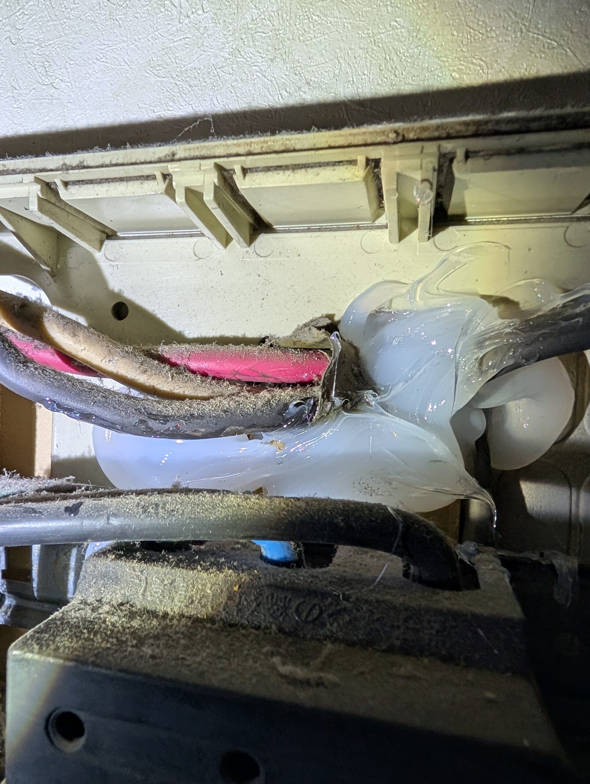 千葉県千葉市ネズミ駆除現場の写真7