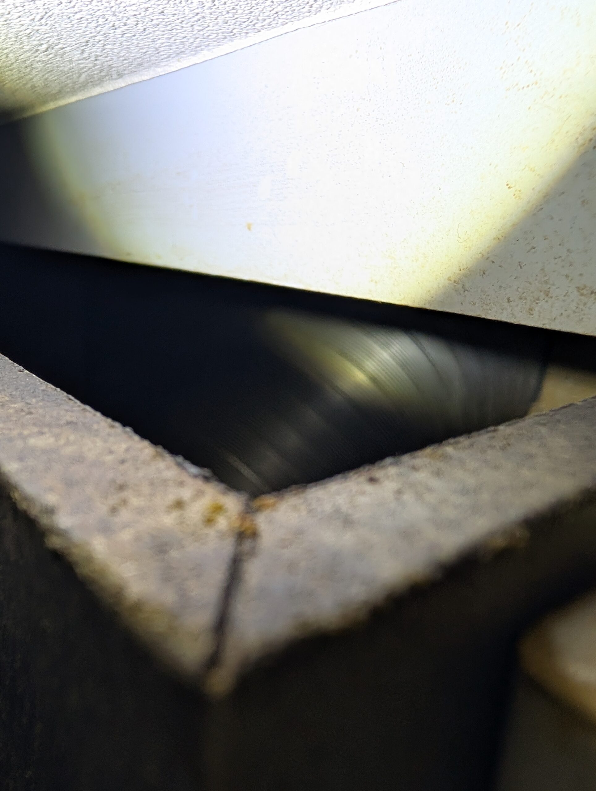 千葉県千葉市ネズミ駆除現場の写真11