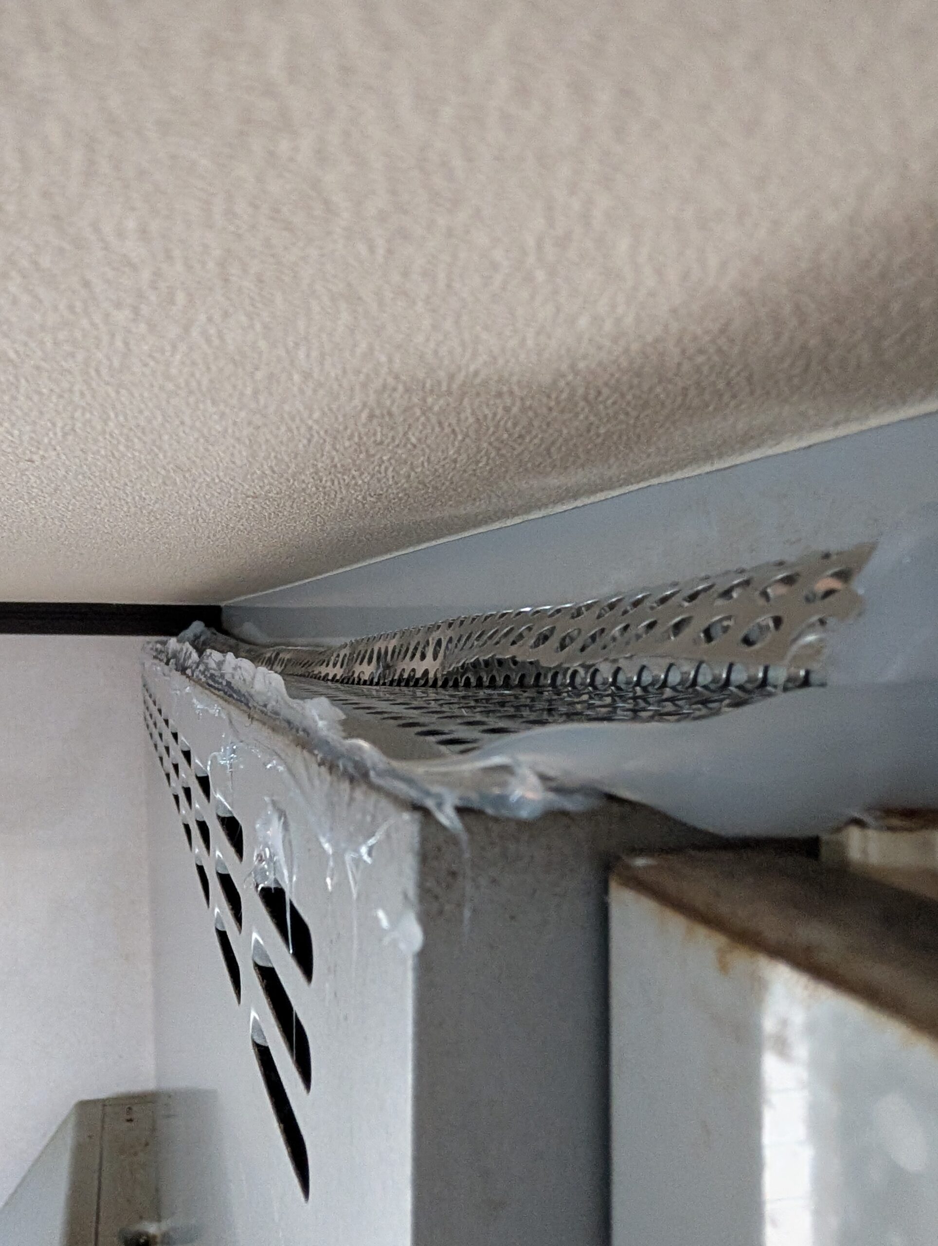 千葉県千葉市ネズミ駆除現場の写真25