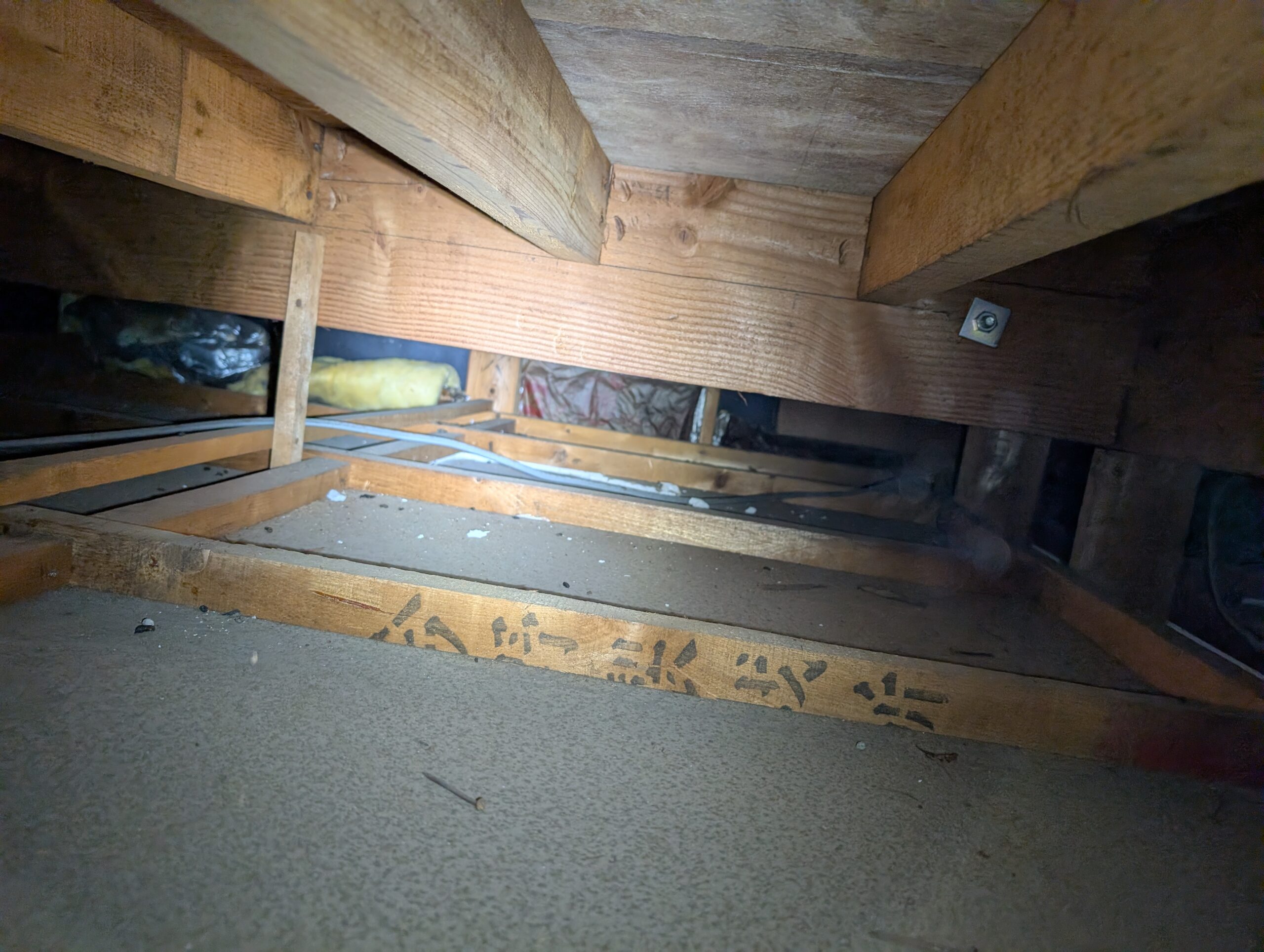 千葉県千葉市ネズミ駆除現場の写真12