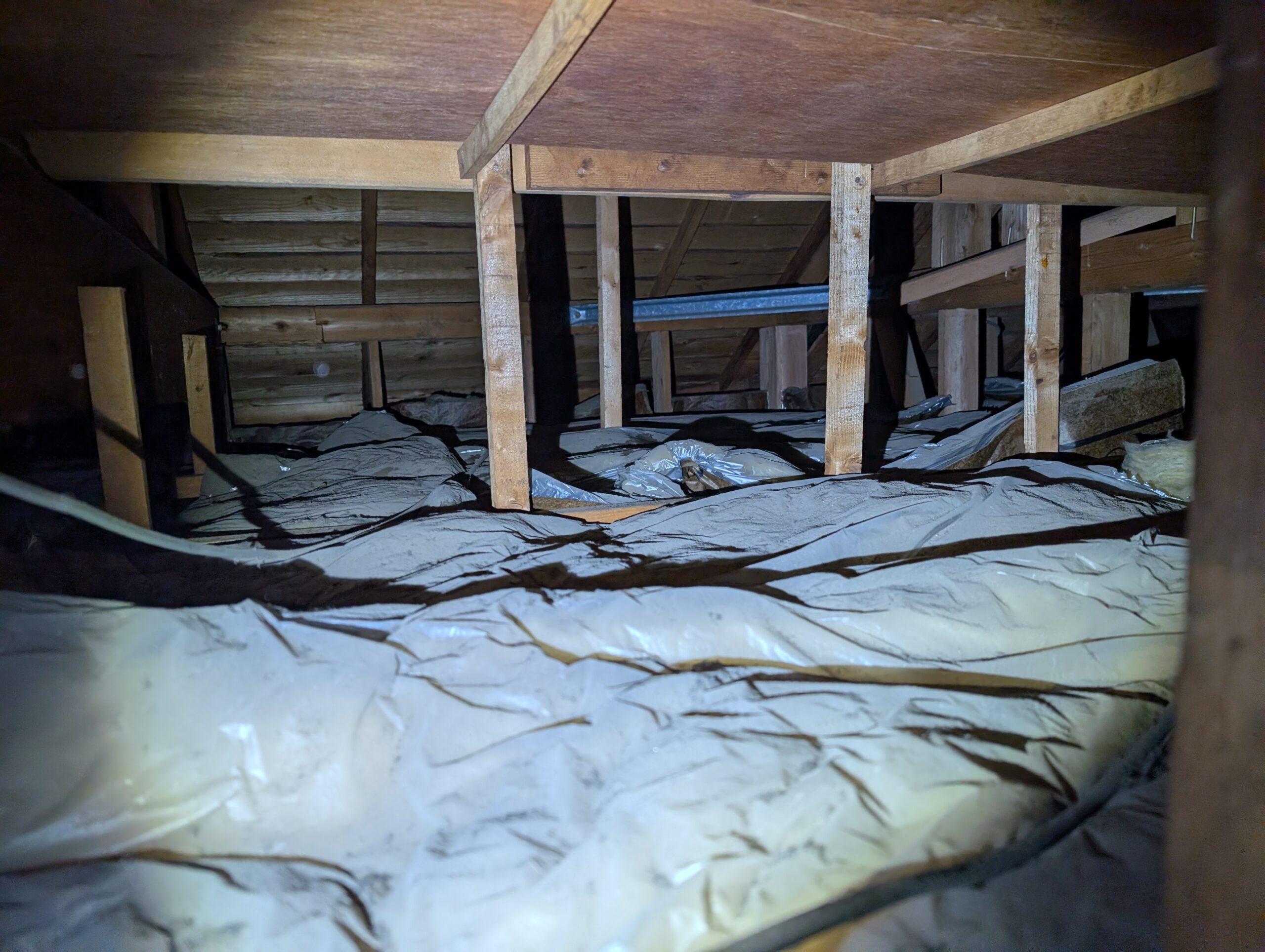 千葉県千葉市ネズミ駆除現場の写真26