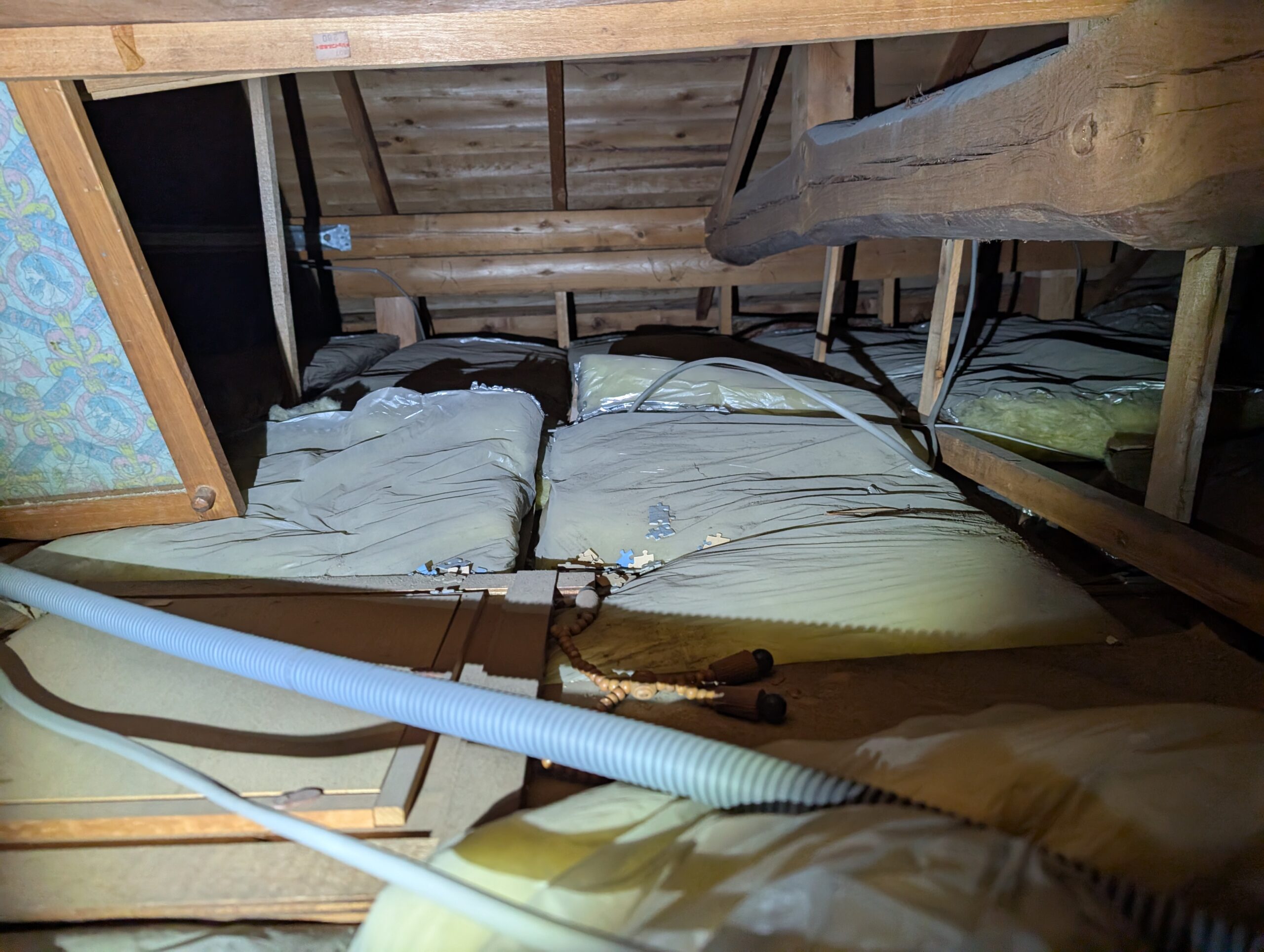 千葉県千葉市ネズミ駆除現場の写真31