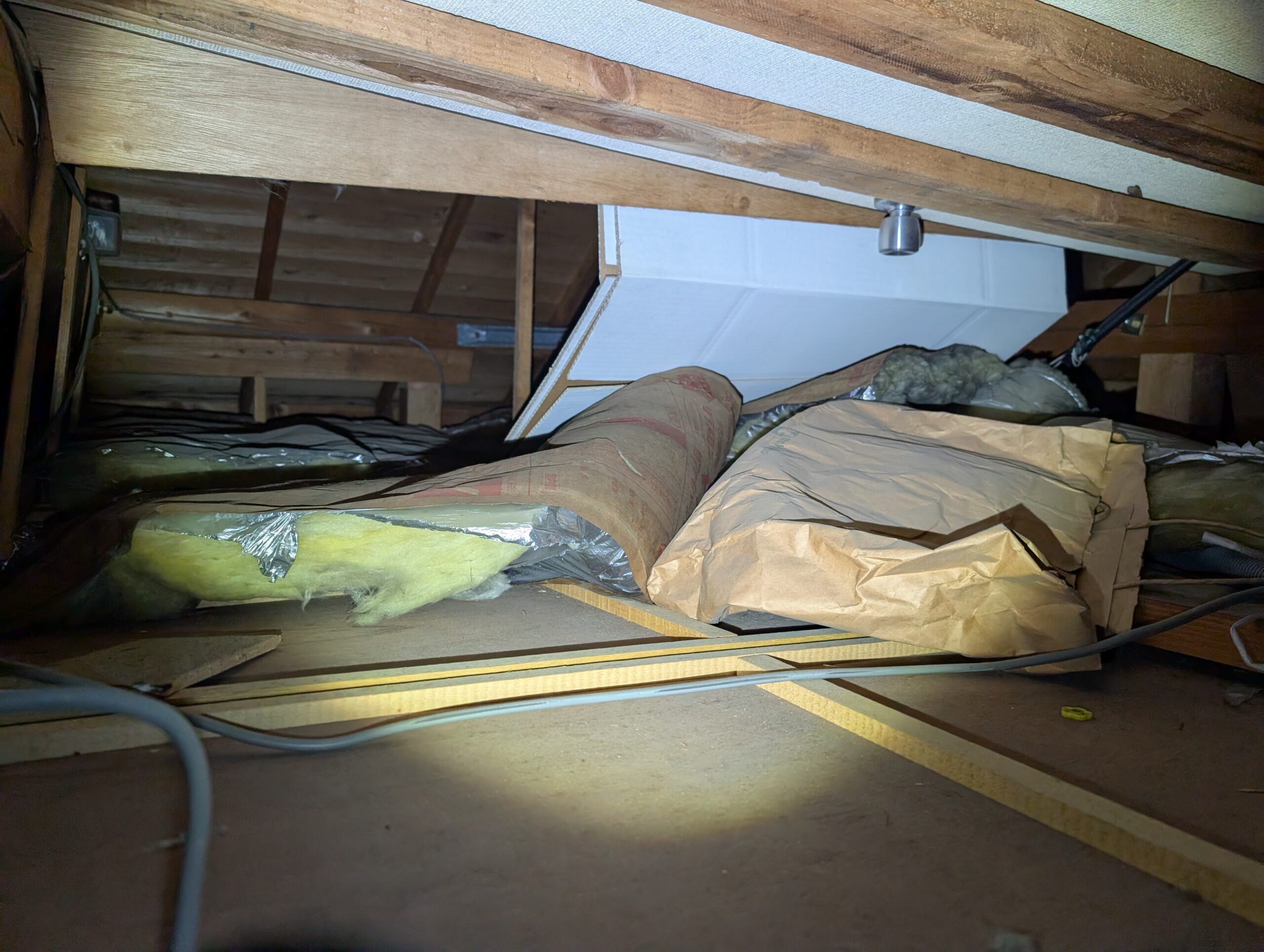 千葉県千葉市ネズミ駆除現場の写真14