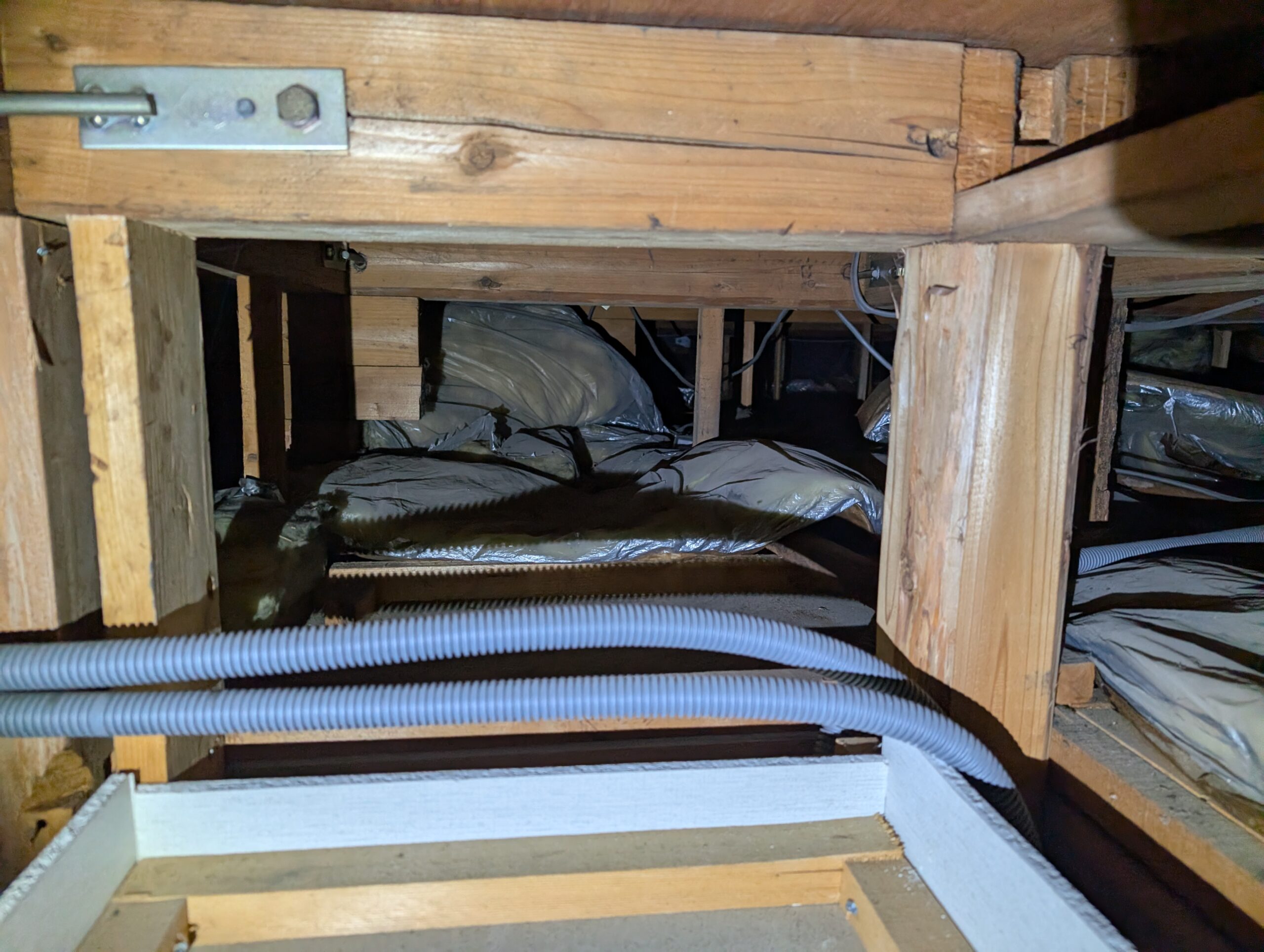 千葉県千葉市ネズミ駆除現場の写真30