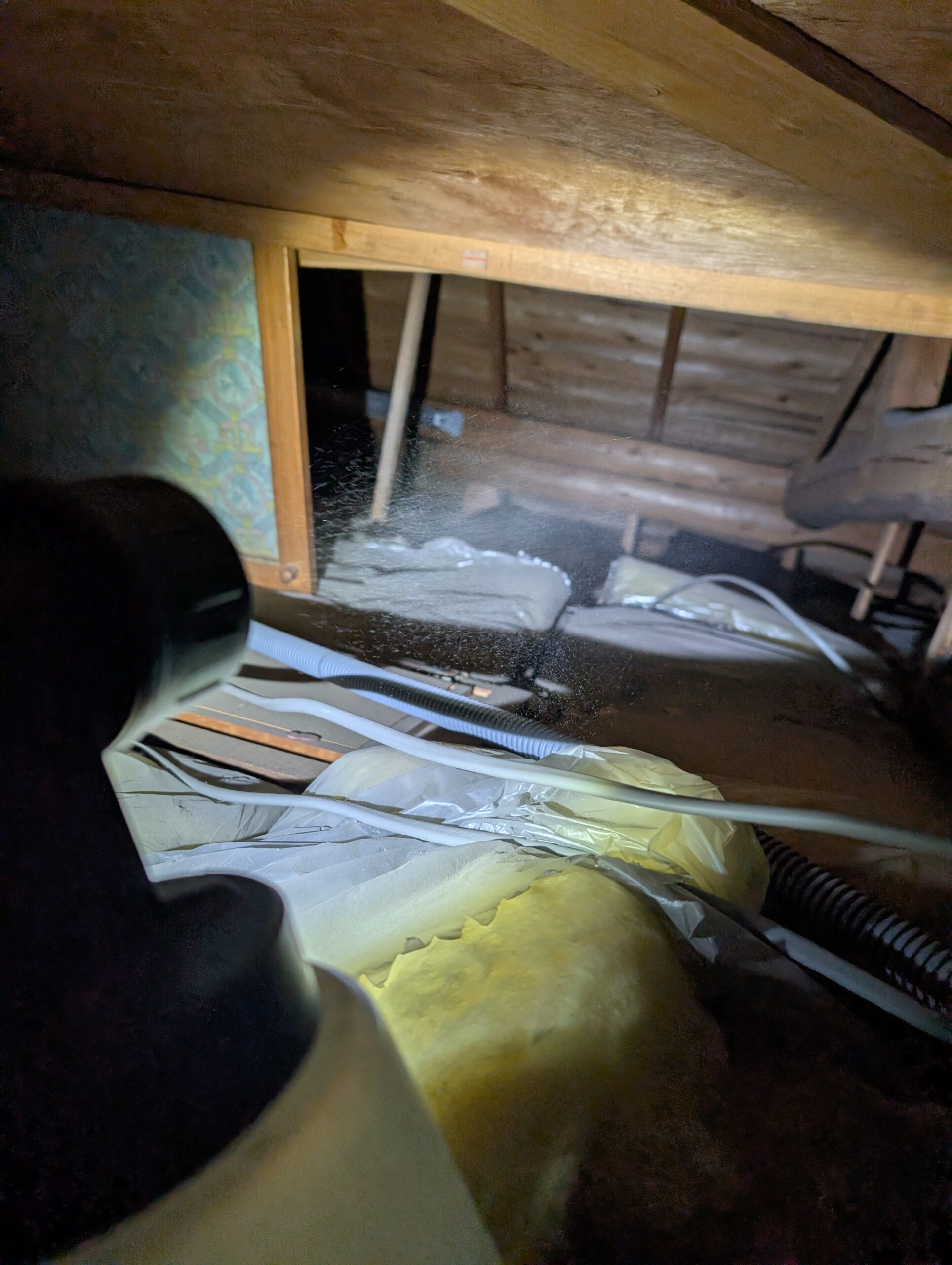 千葉県千葉市ネズミ駆除現場の写真13