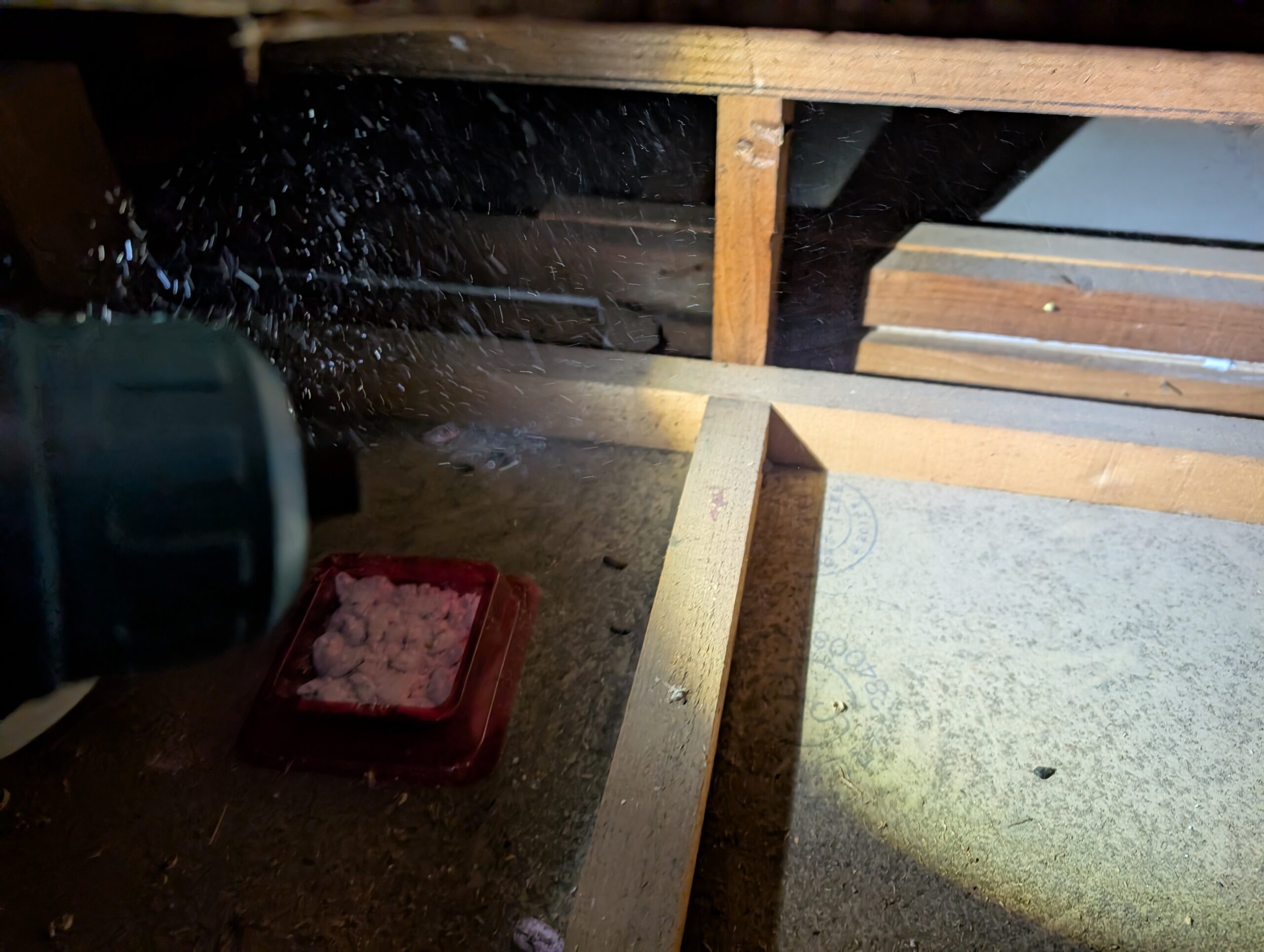 千葉県千葉市ネズミ駆除現場の写真16