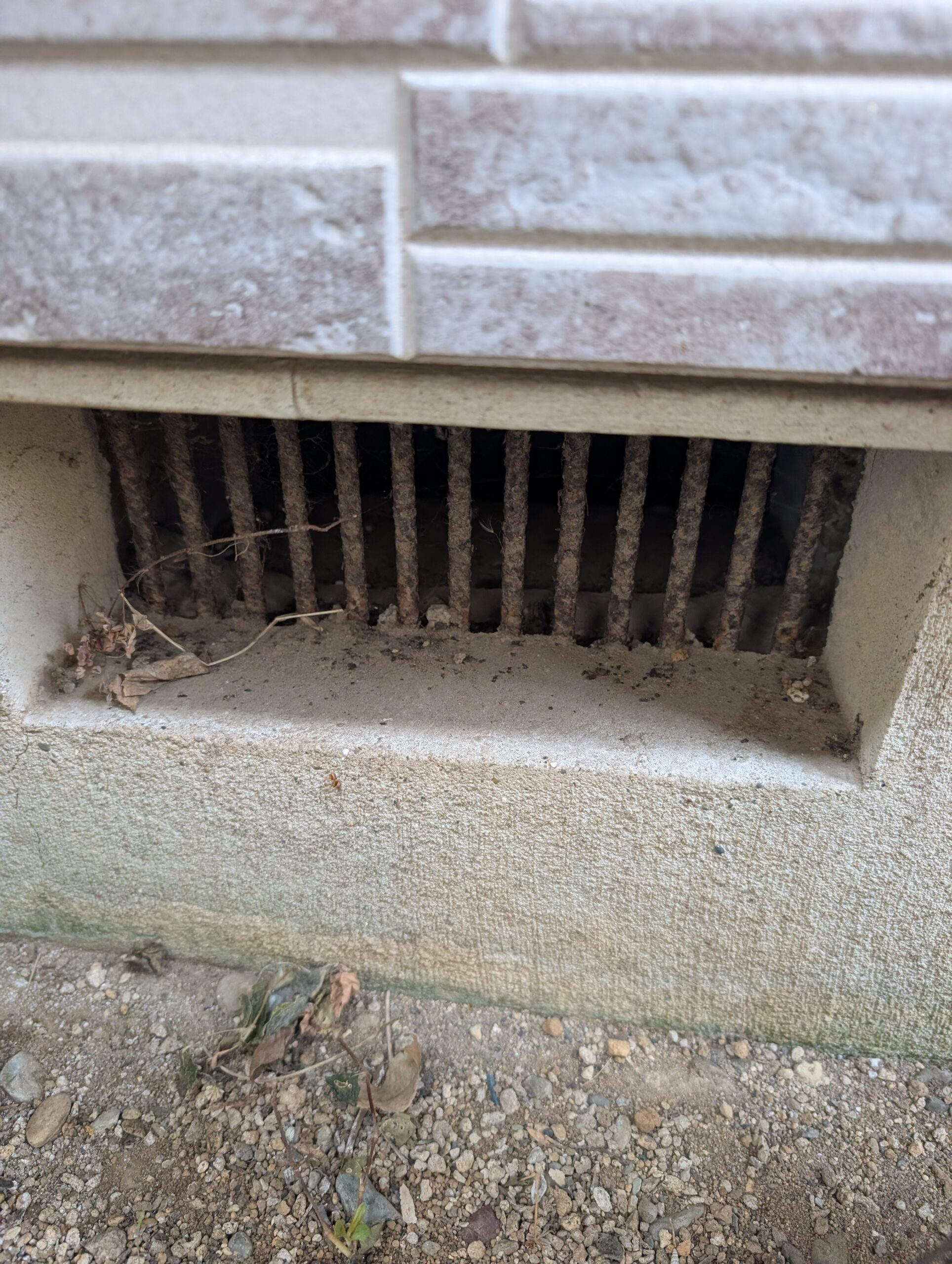 千葉県千葉市ネズミ駆除現場の写真15