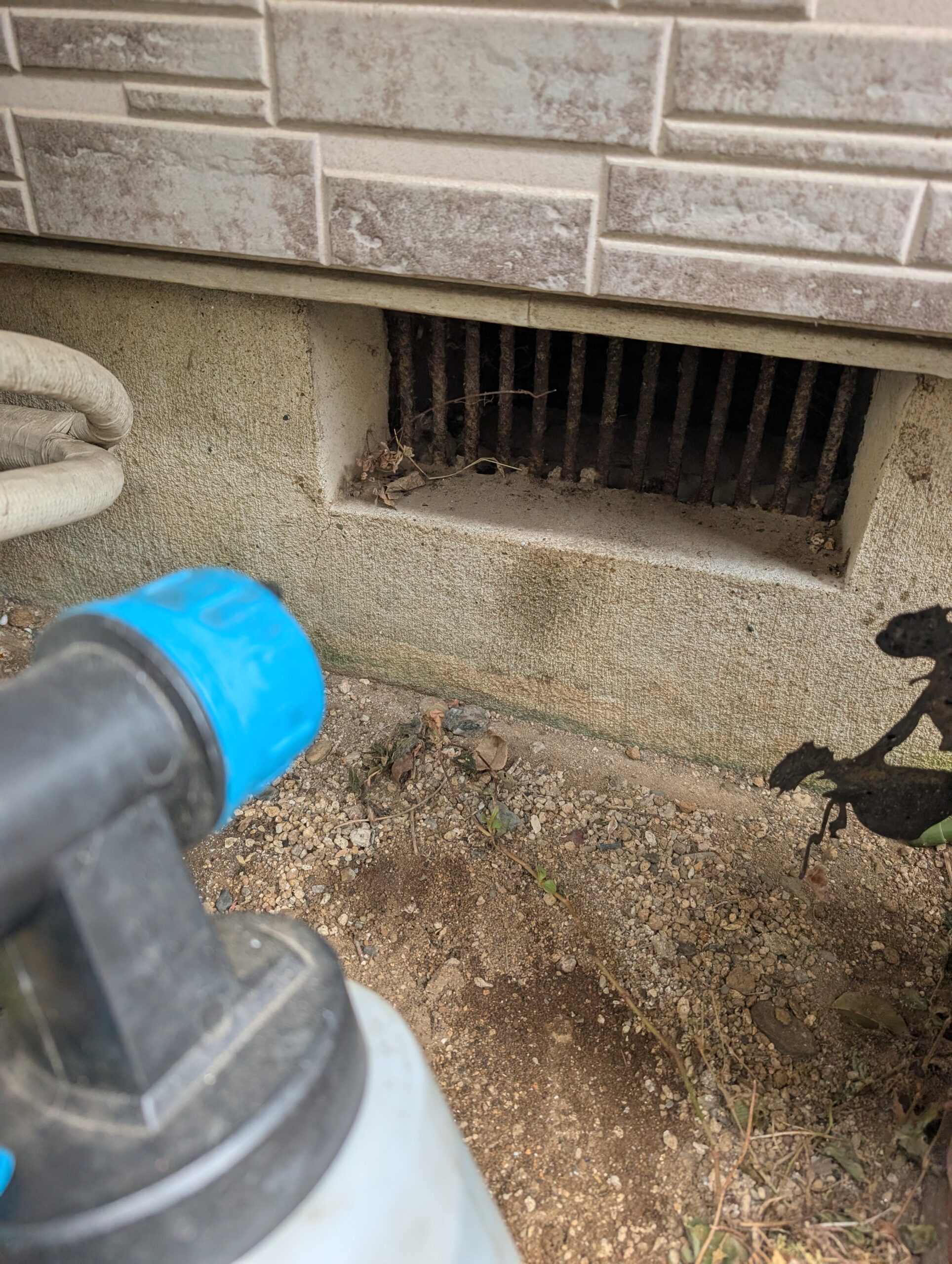 千葉県千葉市ネズミ駆除現場の写真33