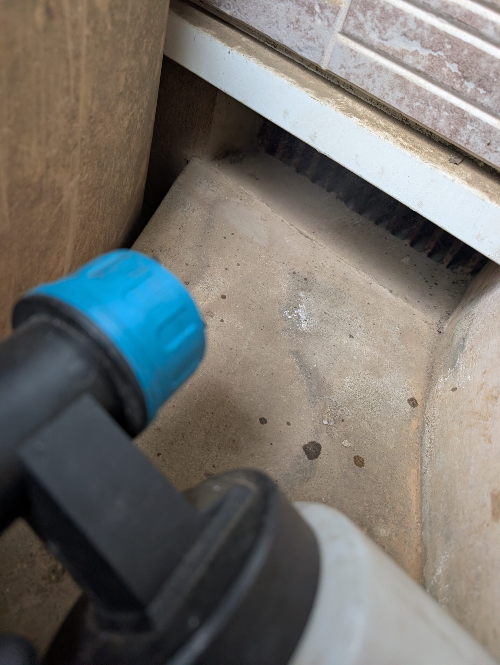 千葉県千葉市ネズミ駆除現場の写真19