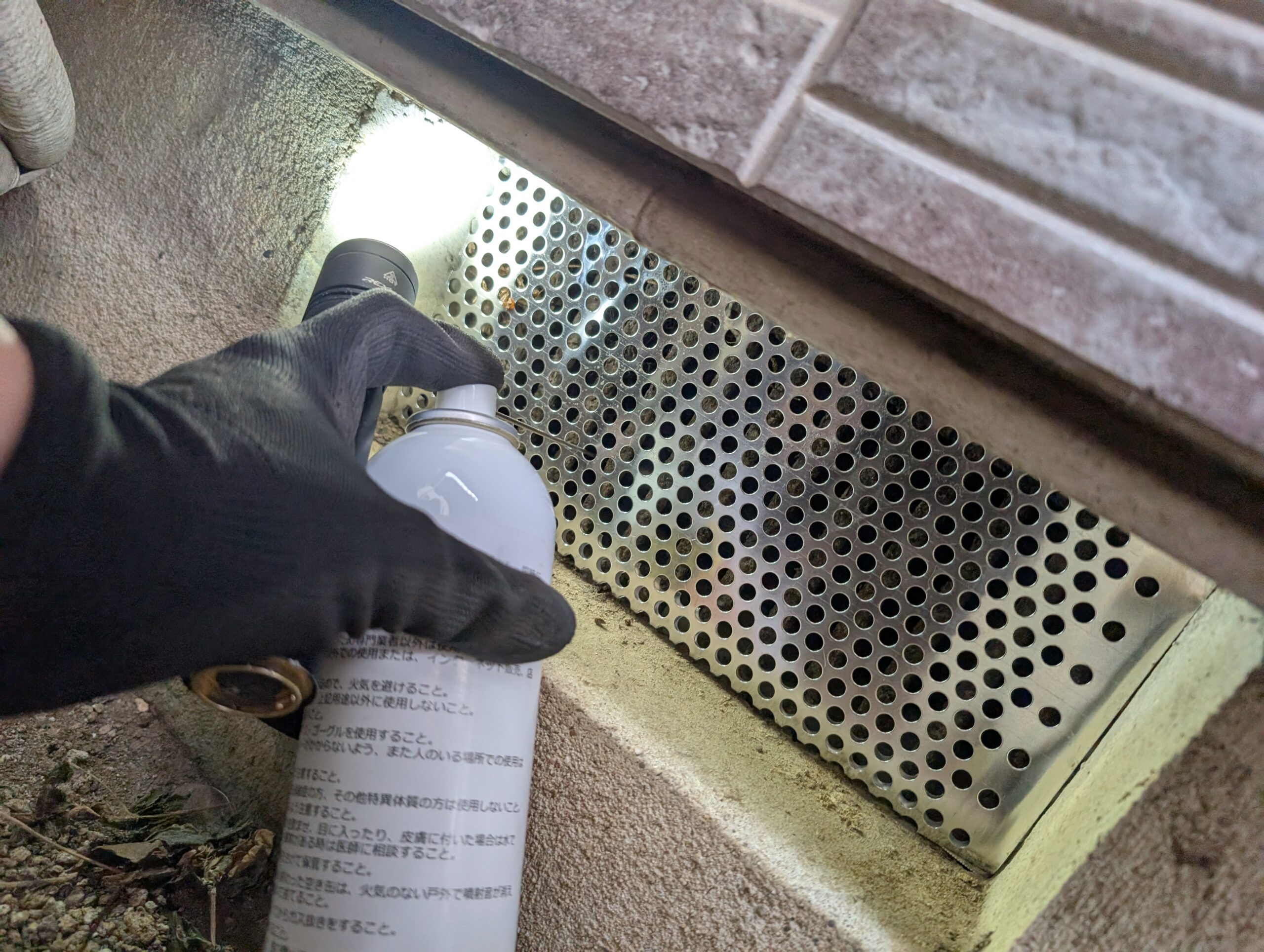 千葉県千葉市ネズミ駆除現場の写真3