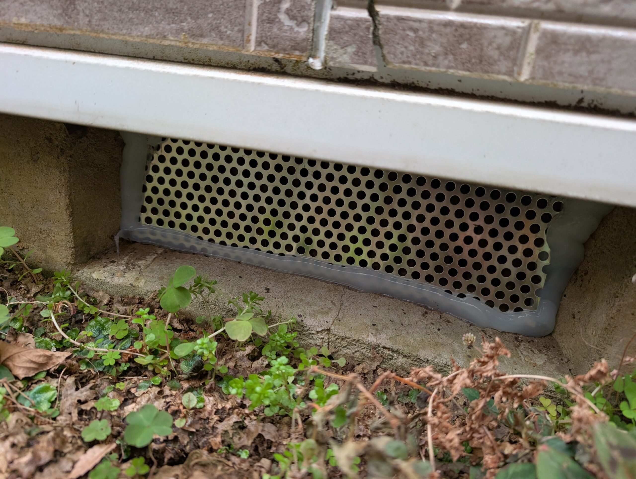 千葉県千葉市ネズミ駆除現場の写真24