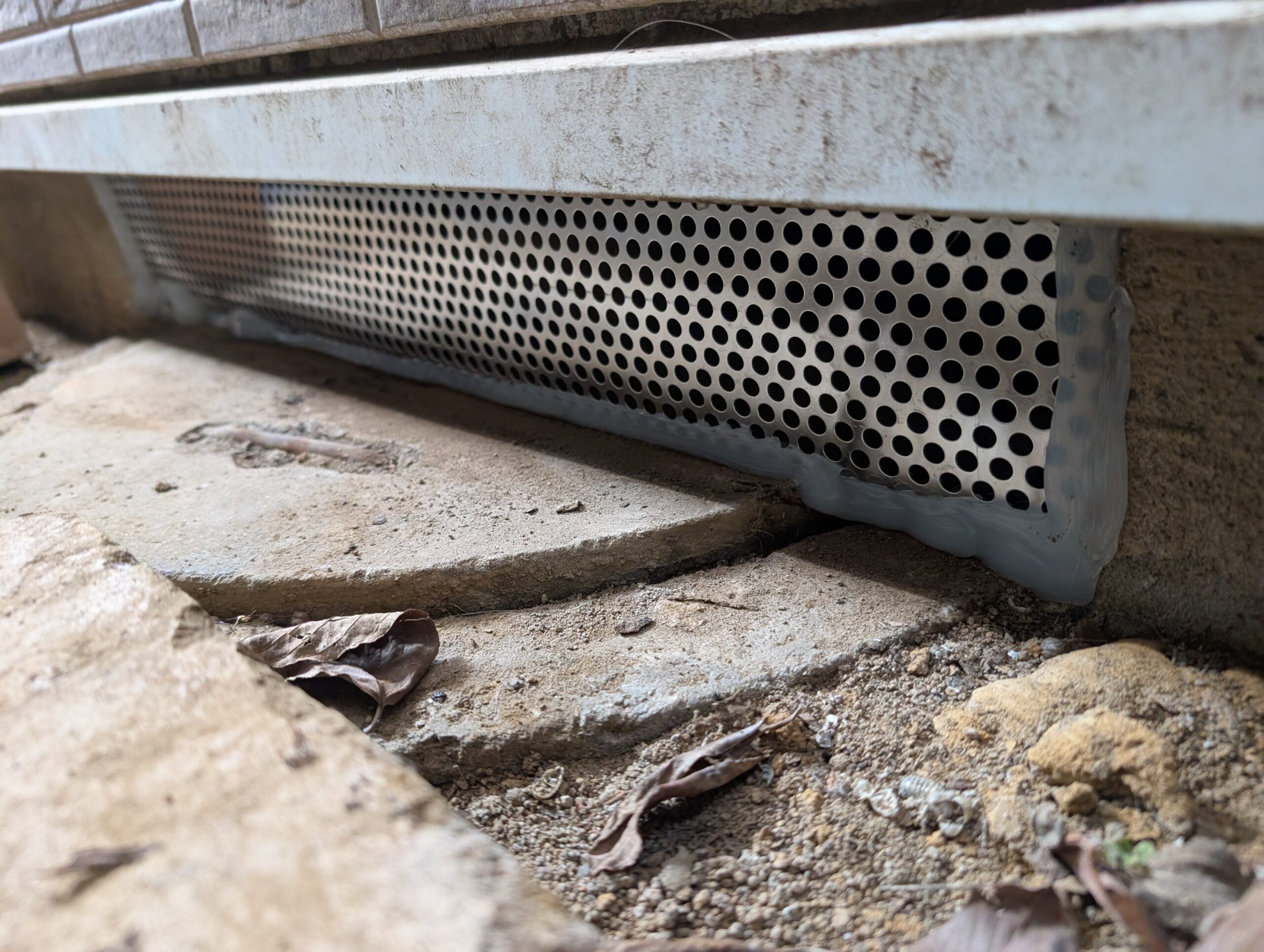 千葉県千葉市ネズミ駆除現場の写真6