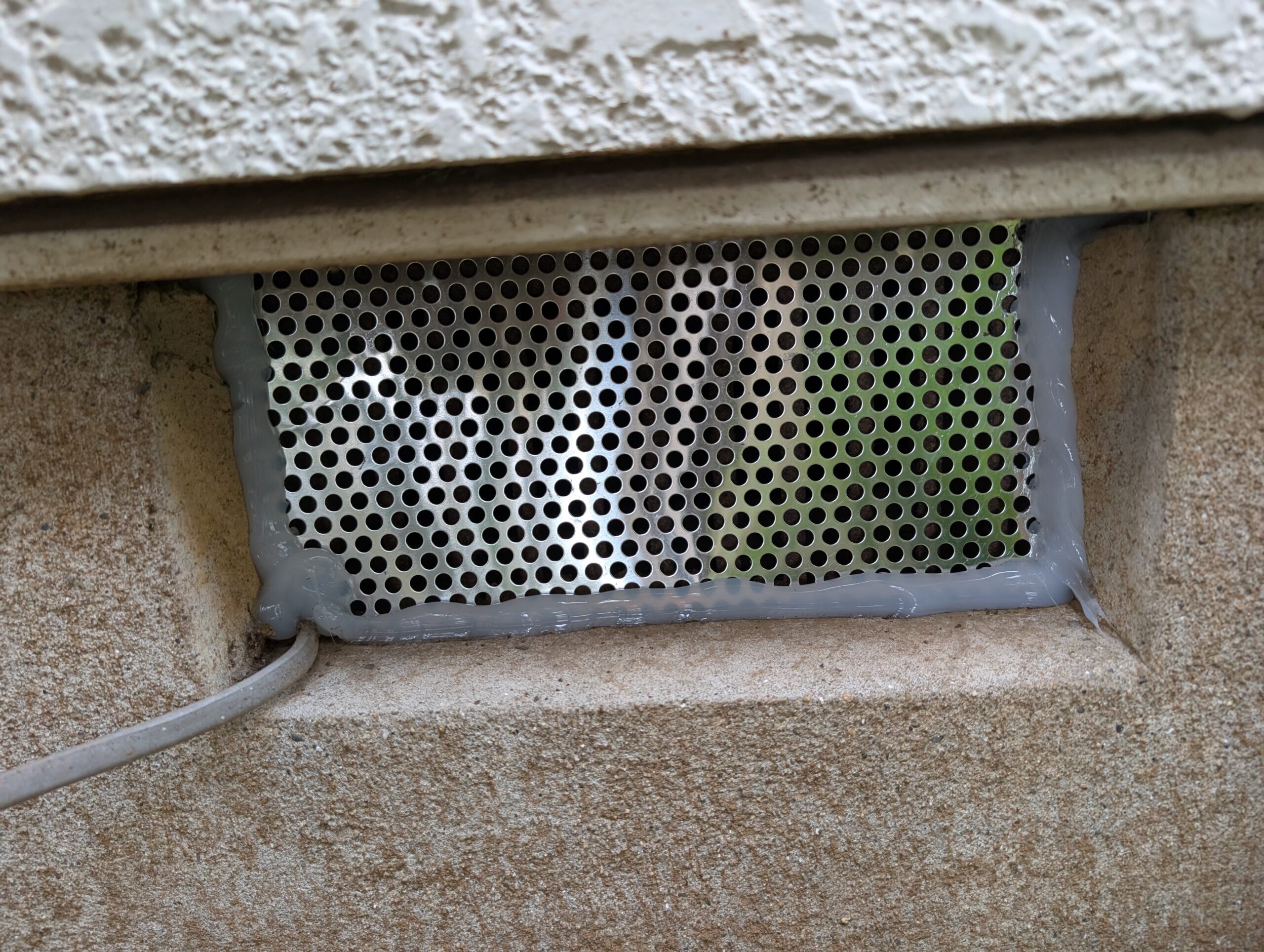 千葉県千葉市ネズミ駆除現場の写真22