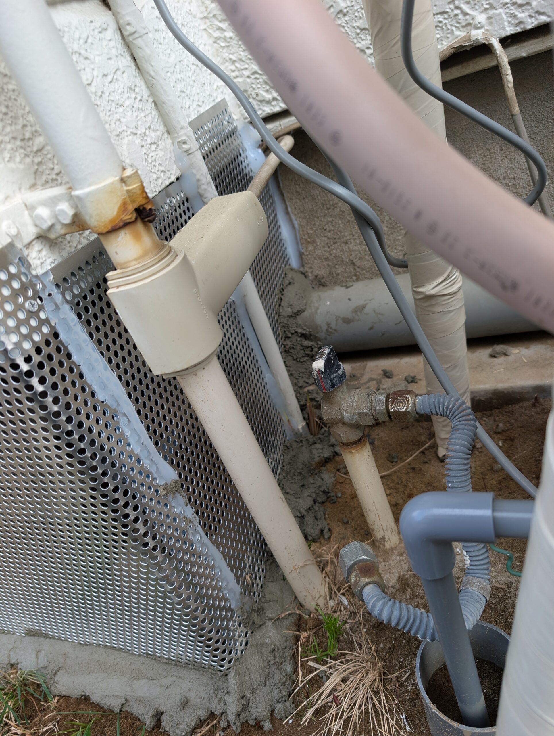 千葉県千葉市ネズミ駆除現場の写真27