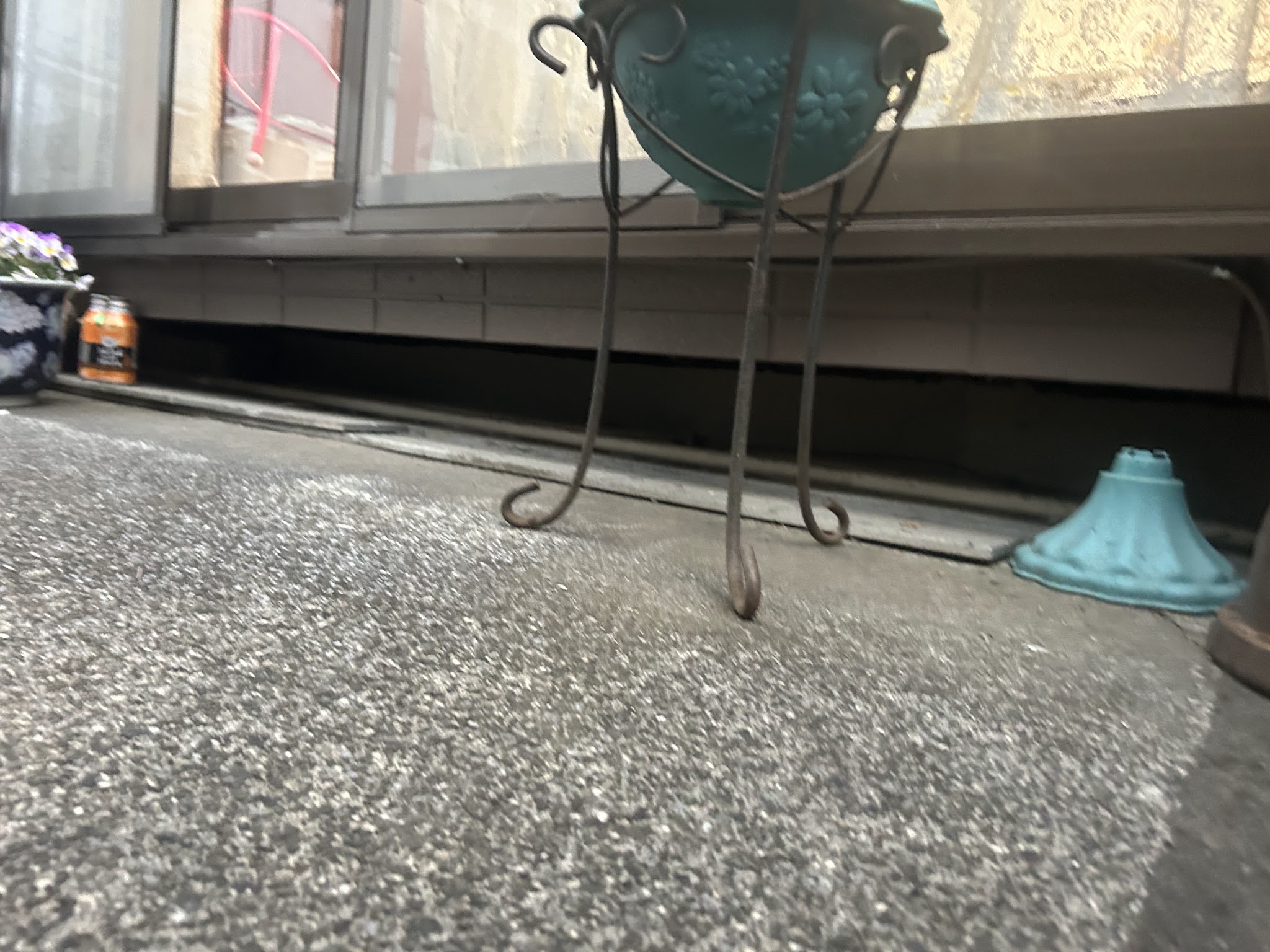 埼玉県飯能市ネズミ駆除現場の写真27
