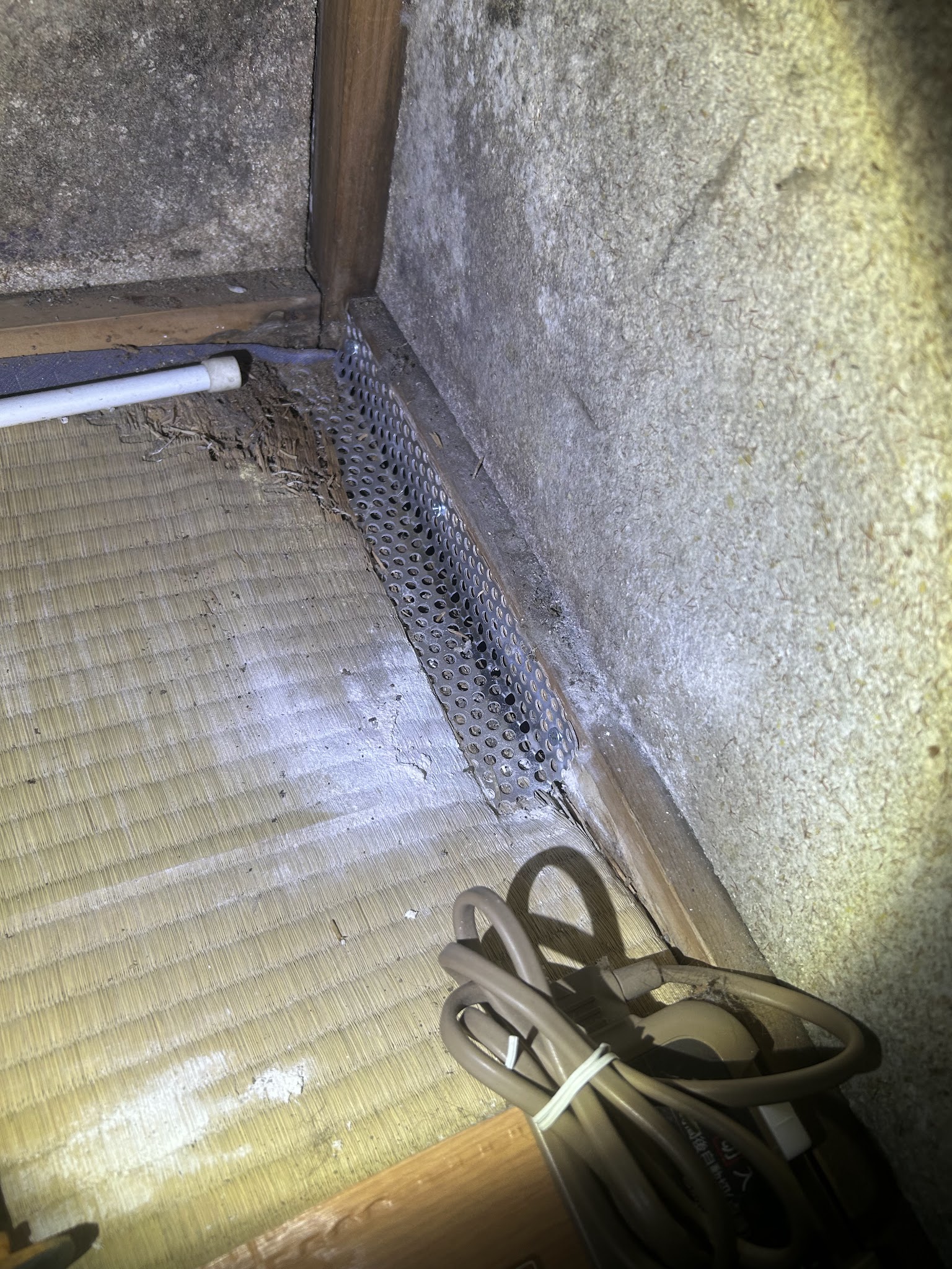 埼玉県飯能市ネズミ駆除現場の写真20