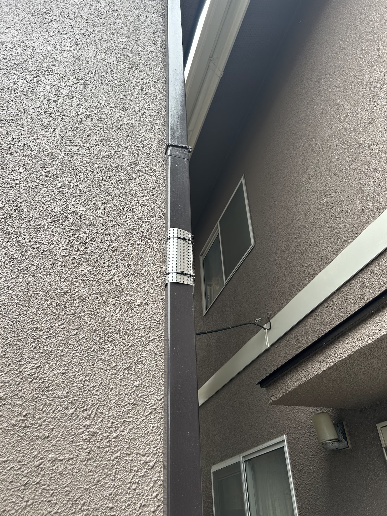 埼玉県飯能市ネズミ駆除現場の写真3