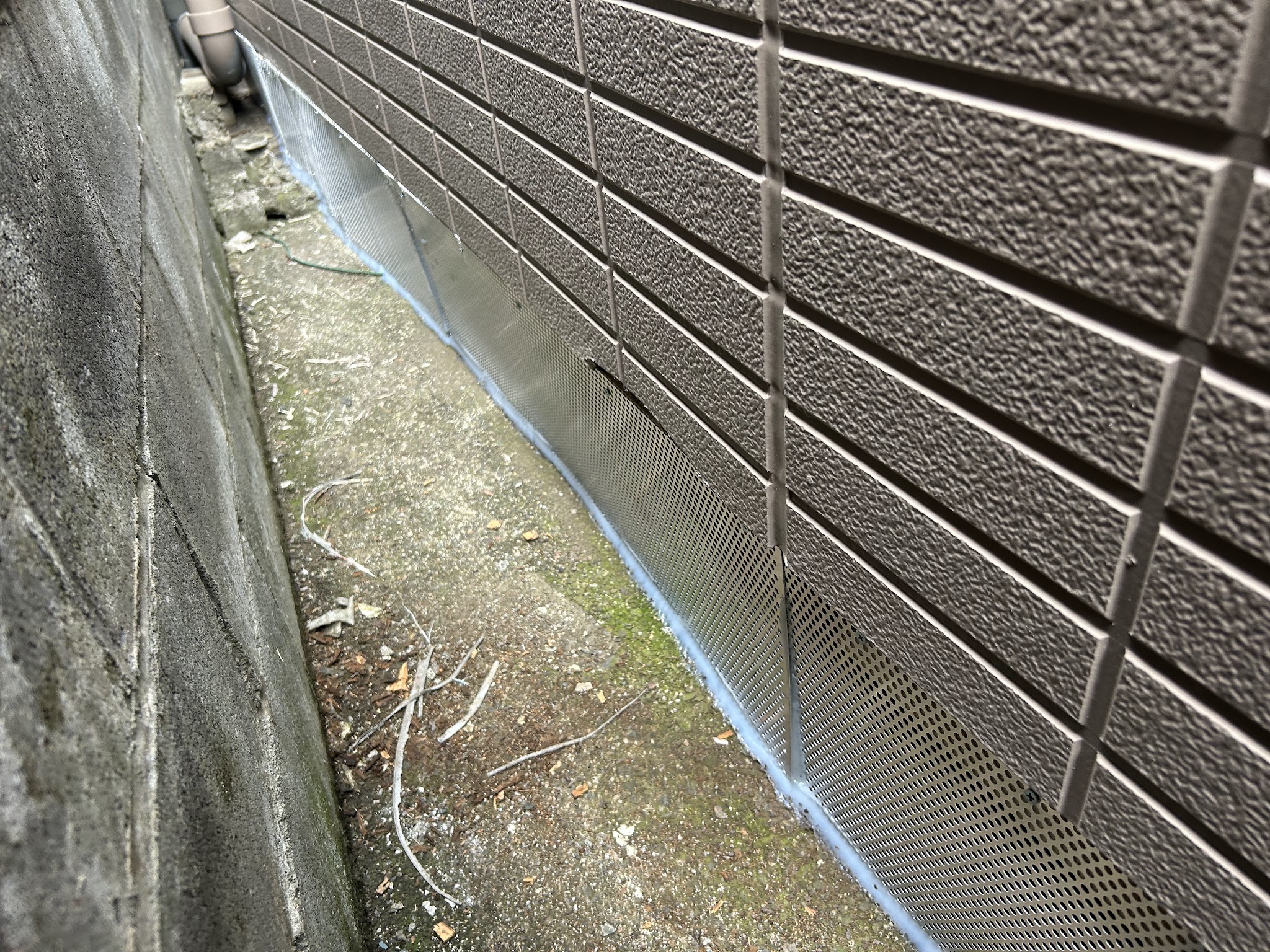 埼玉県飯能市ネズミ駆除現場の写真2