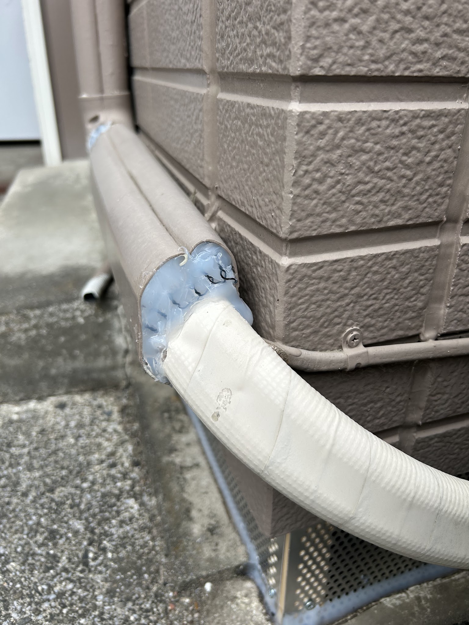 埼玉県飯能市ネズミ駆除現場の写真7