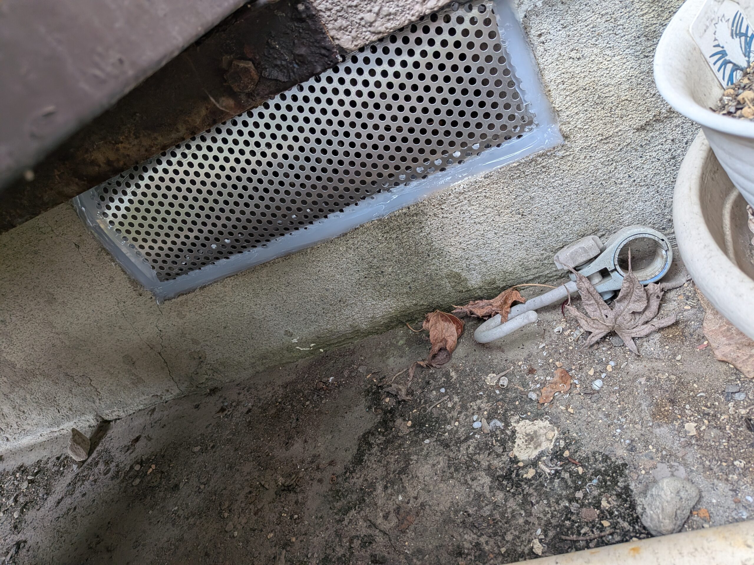 埼玉県飯能市ネズミ駆除現場の写真11