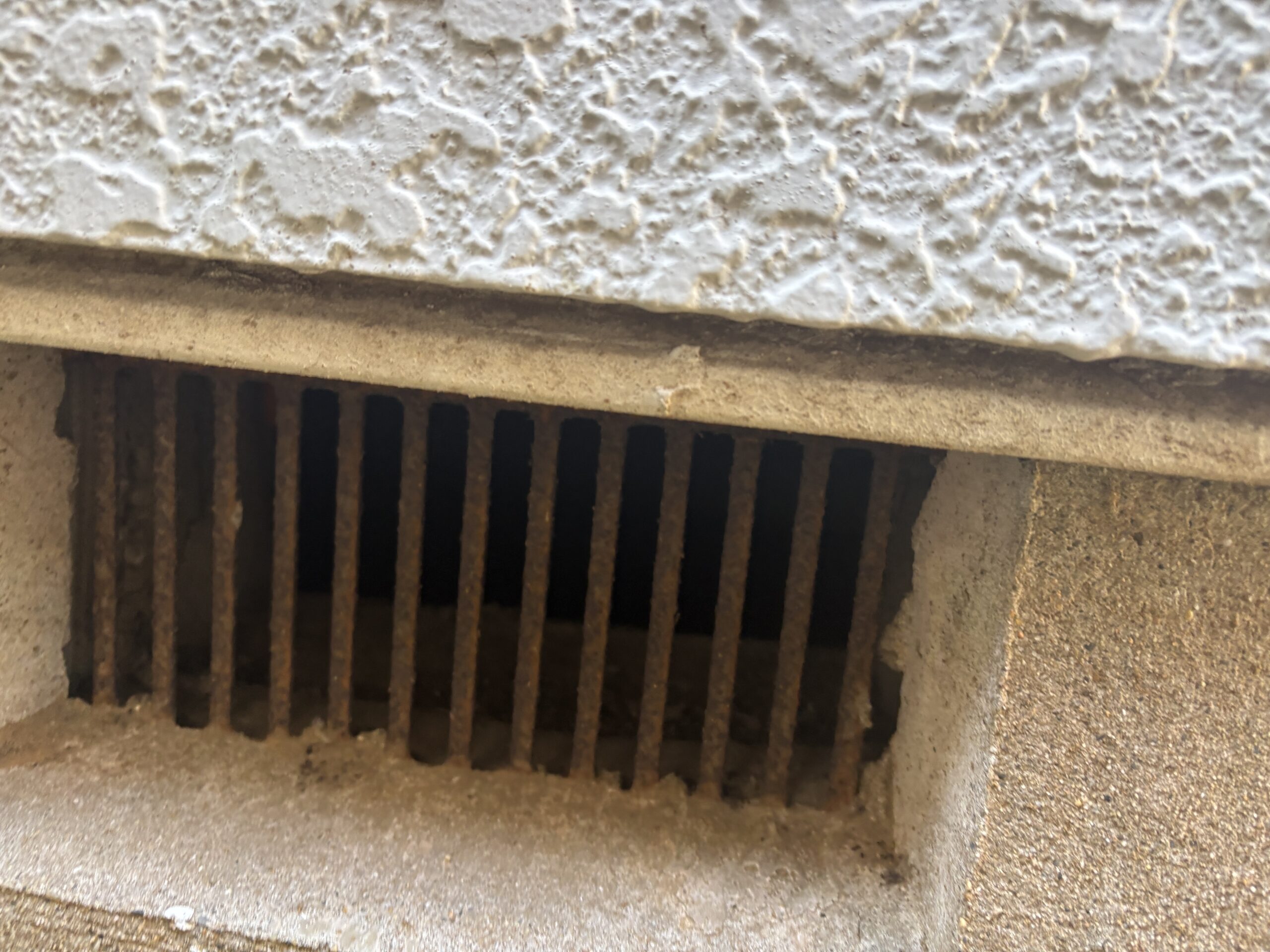 千葉県千葉市ネズミ駆除現場の写真35