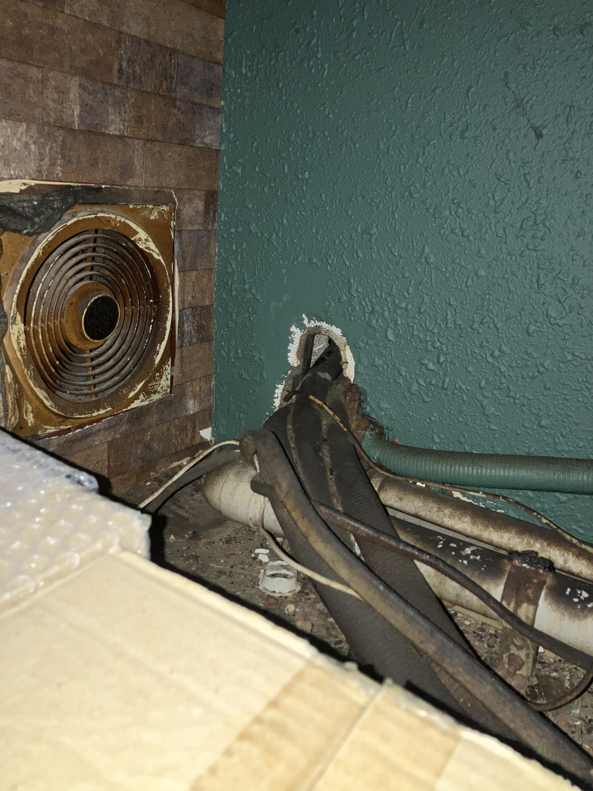 東京都千代田区ネズミ駆除現場の写真4