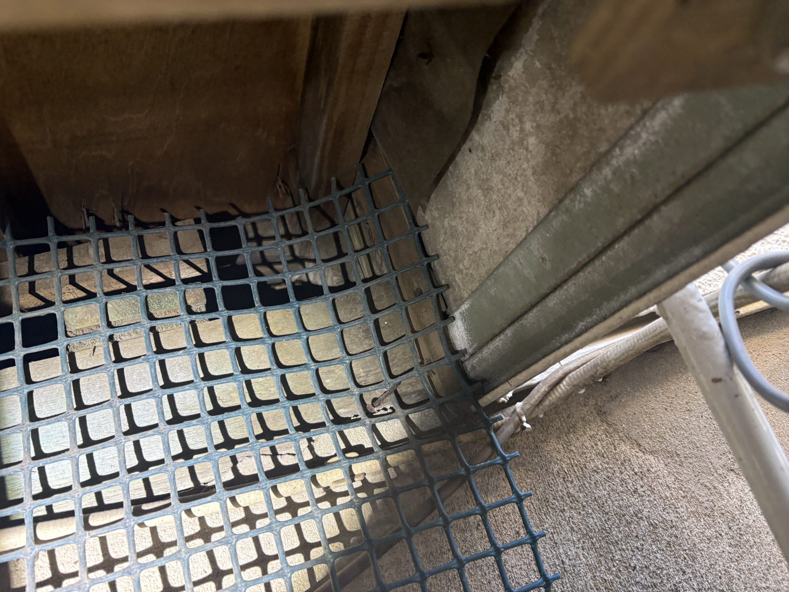 千葉県千葉市ネズミ駆除現場の写真36