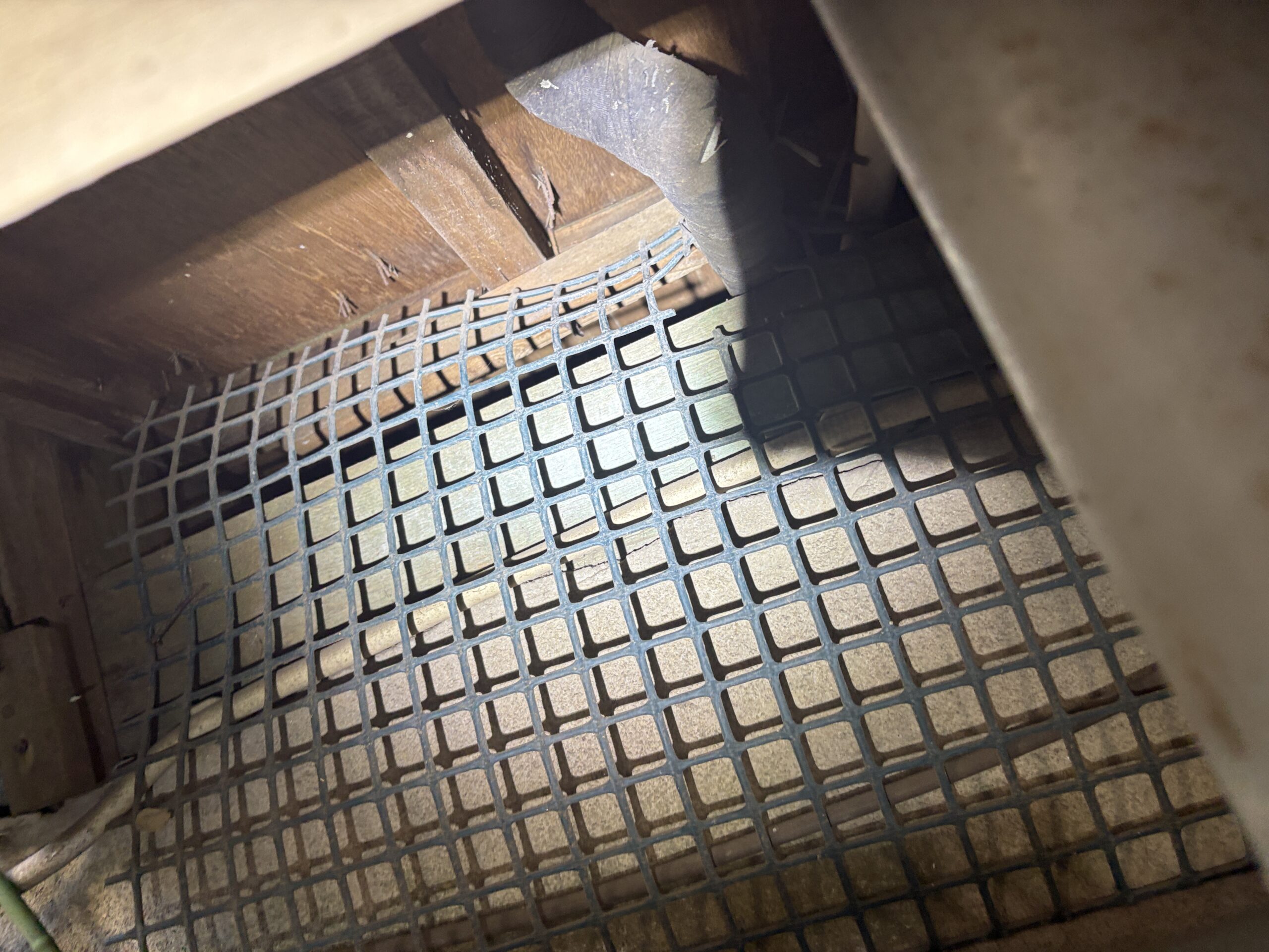千葉県千葉市ネズミ駆除現場の写真37