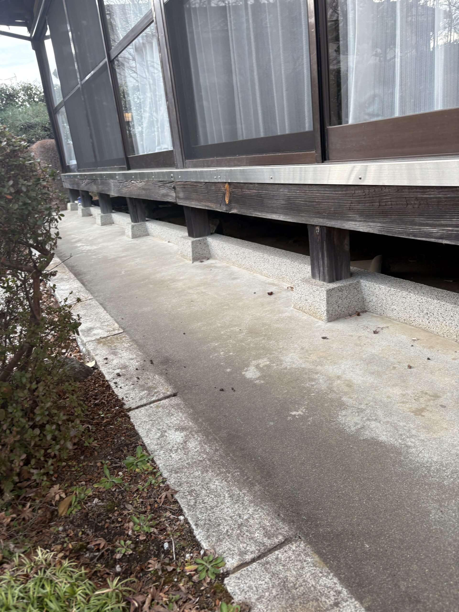 茨城県日立市ハクビシン駆除現場の写真7