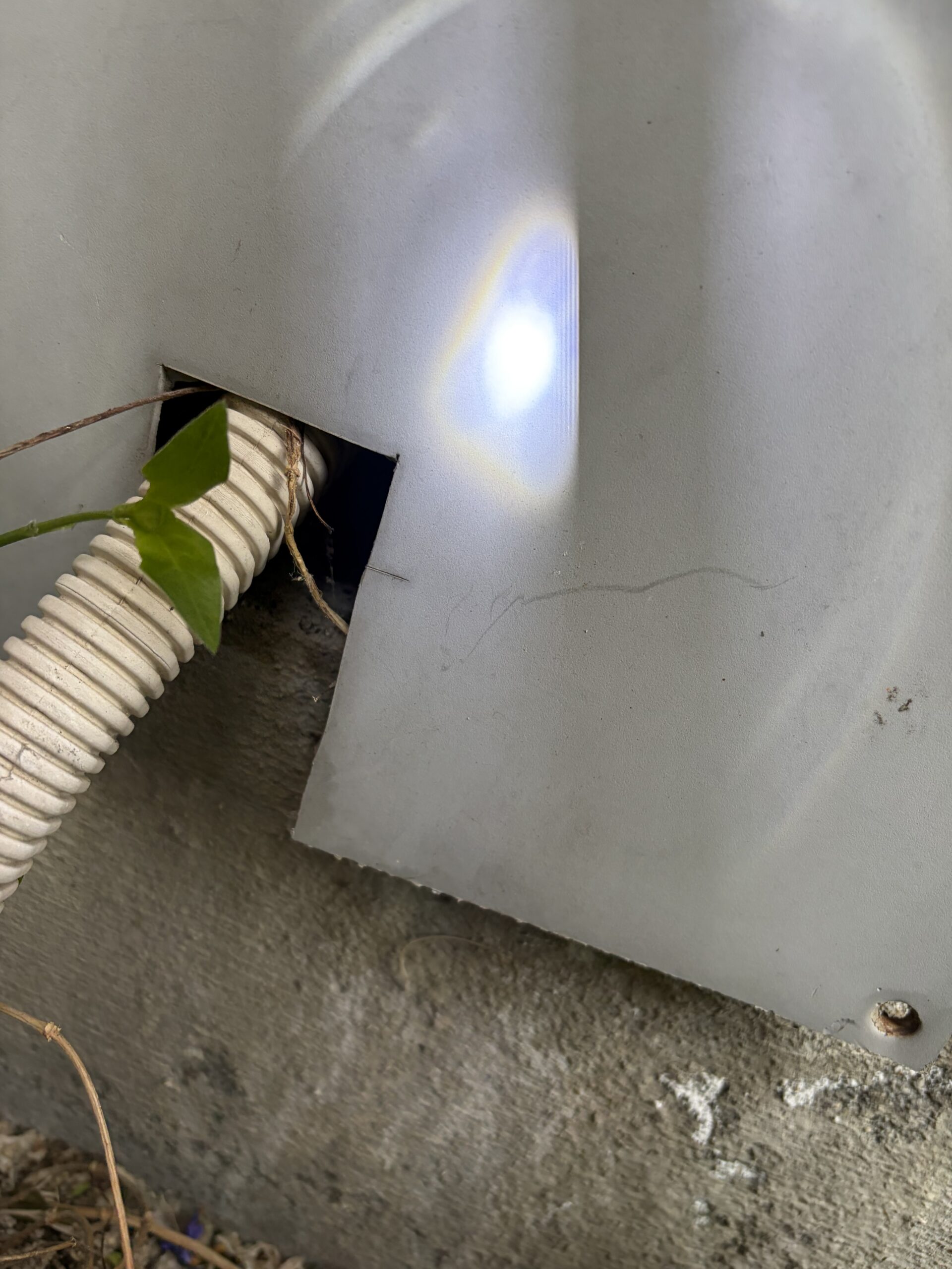 鳥取県米子市害獣駆除現場の写真2