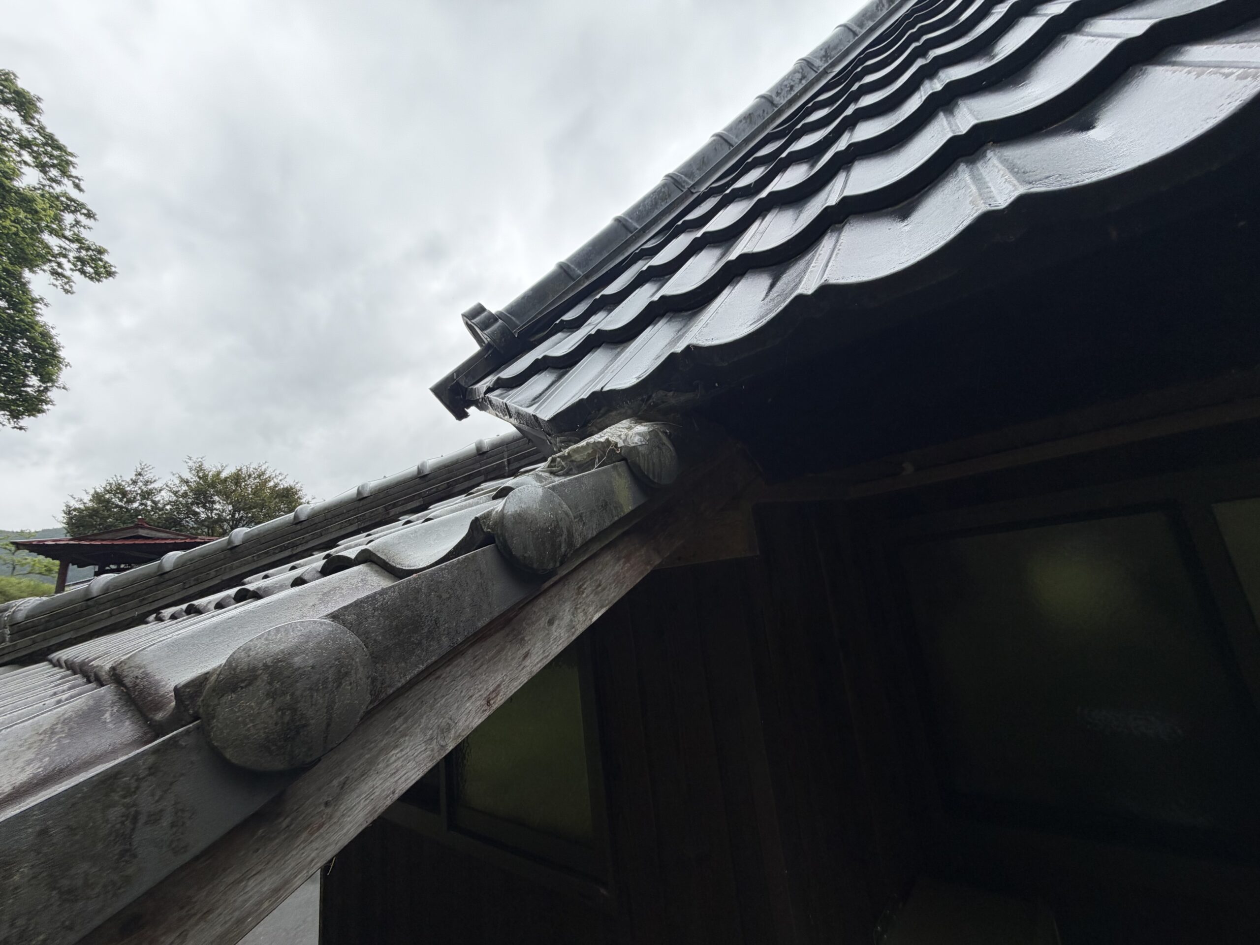 京都府南丹市害獣駆除現場の写真50