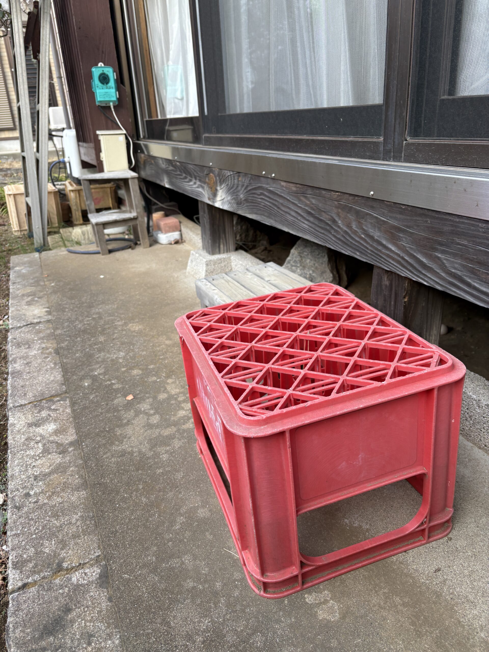 茨城県日立市ハクビシン駆除現場の写真6