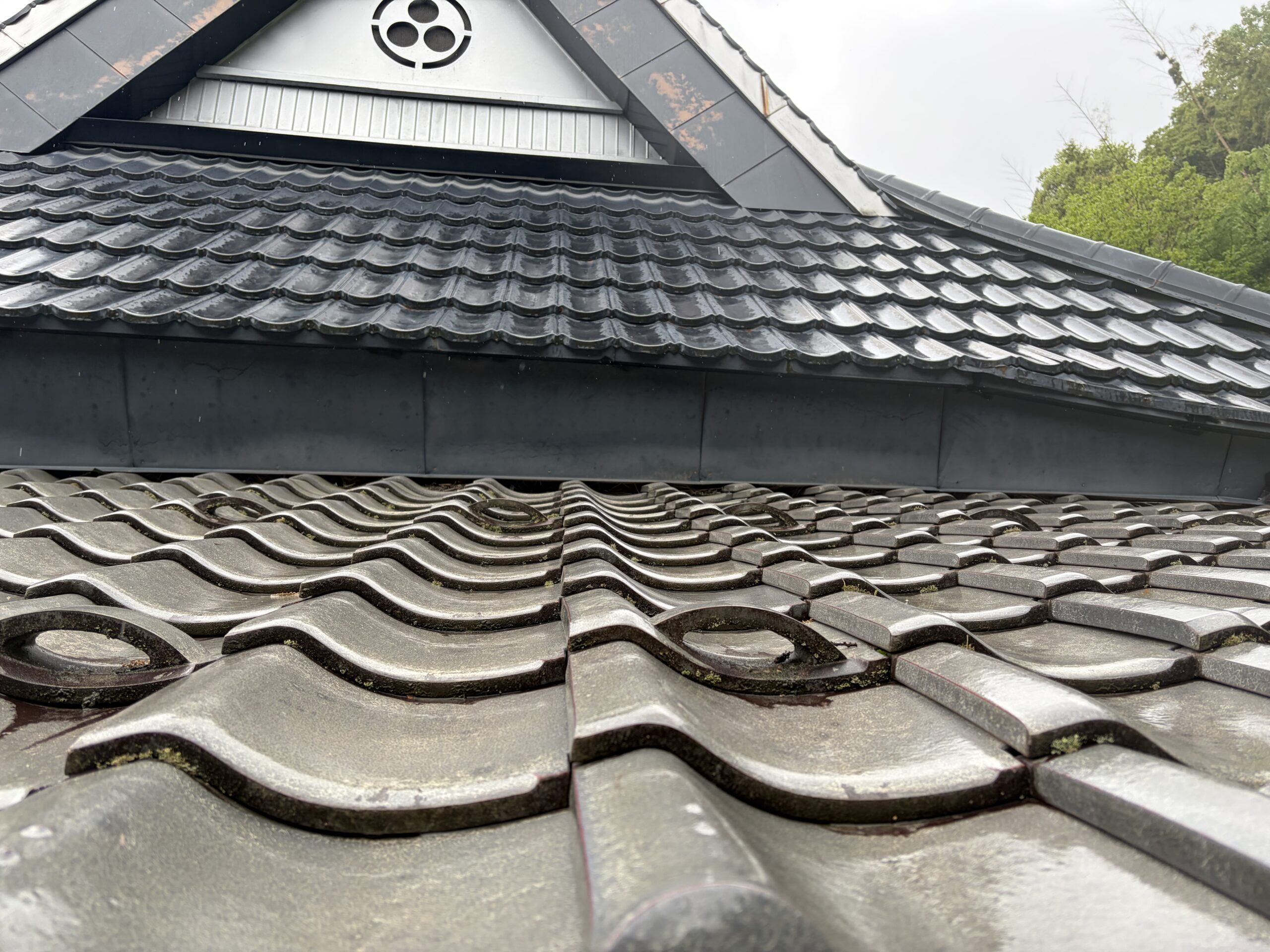 京都府南丹市害獣駆除現場の写真49