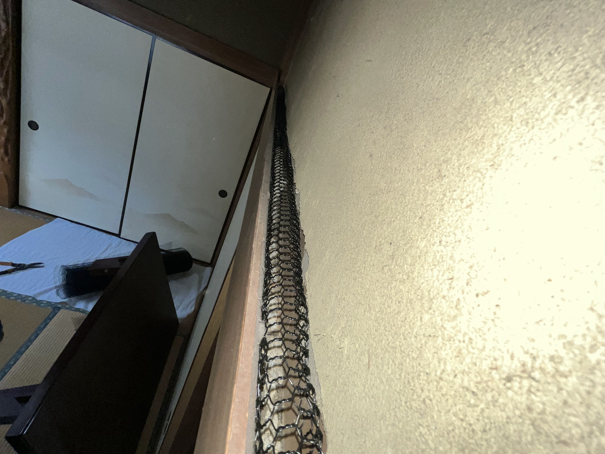 神奈川県藤沢市ネズミ駆除現場の写真12