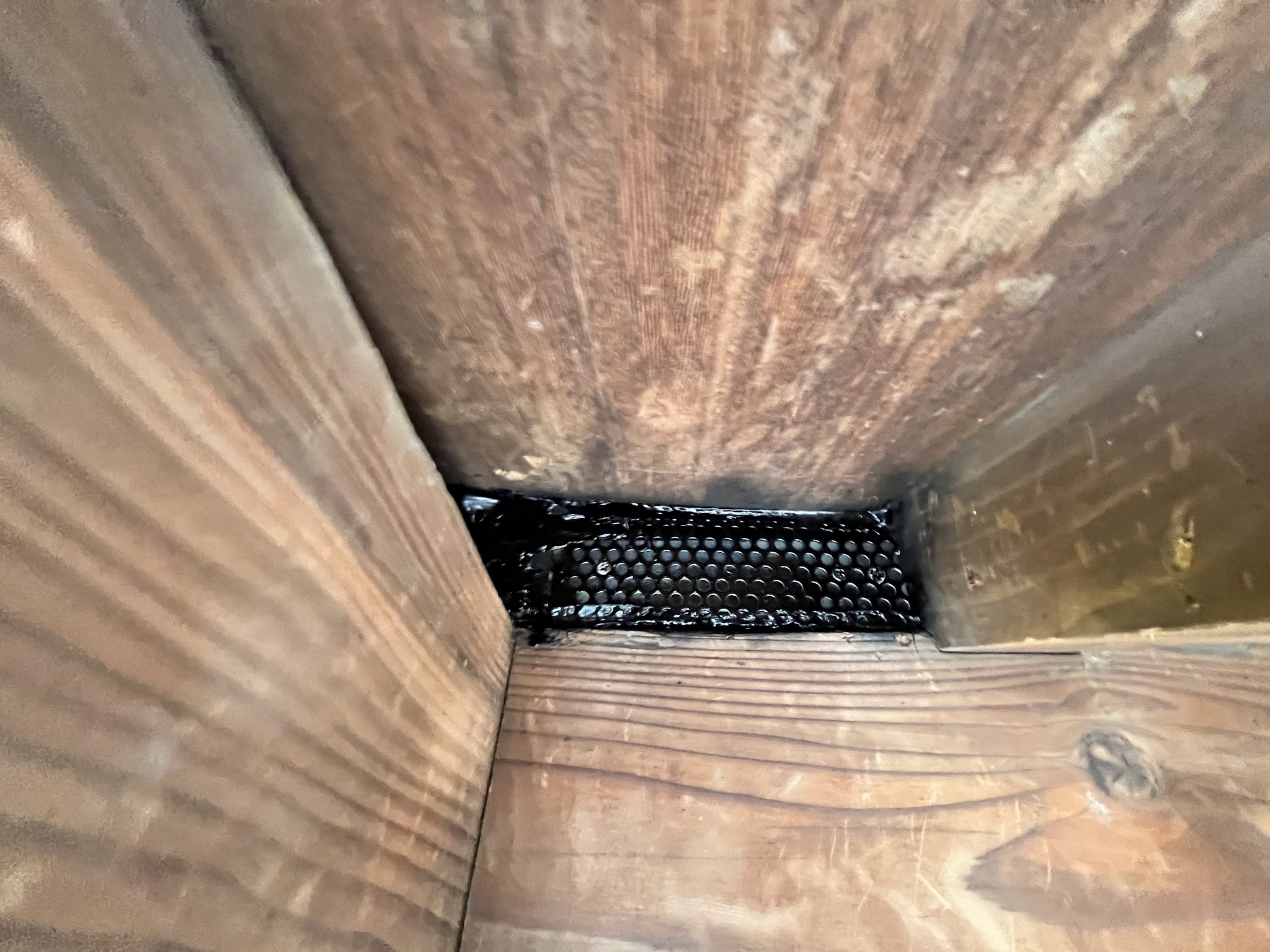 東京都清瀬市中型害獣駆除現場の写真4