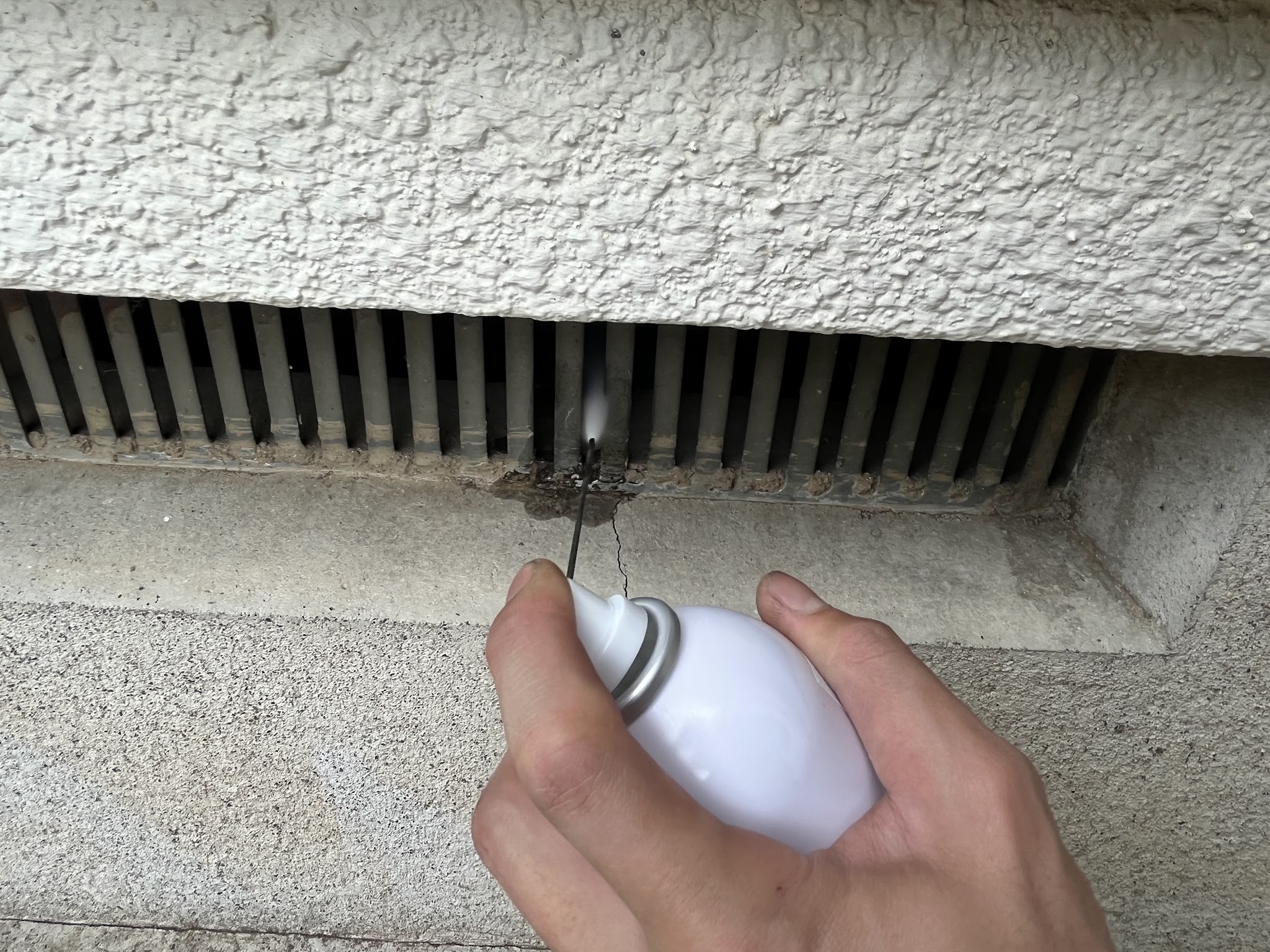 東京都清瀬市中型害獣駆除現場の写真14