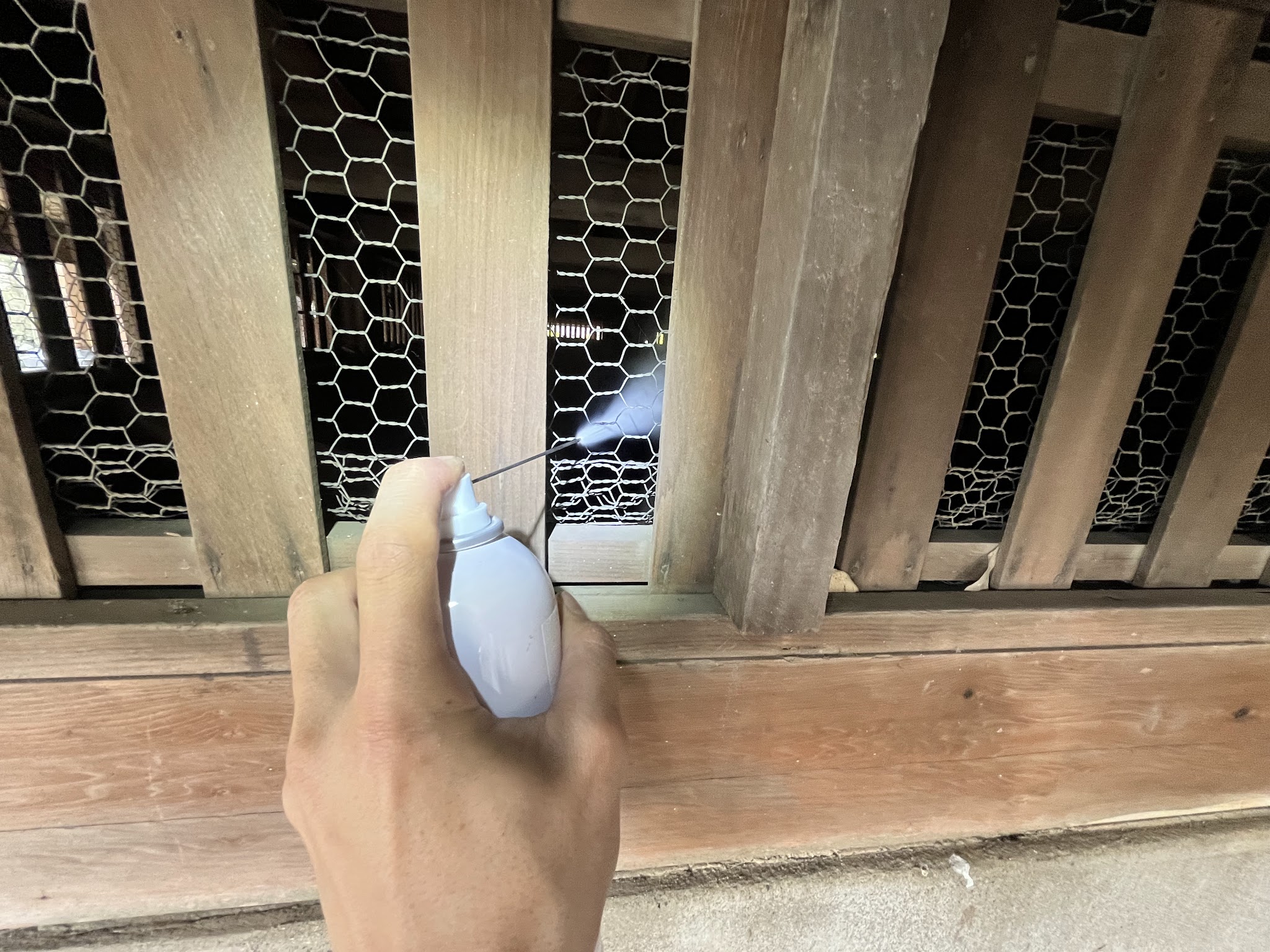 東京都清瀬市中型害獣駆除現場の写真11