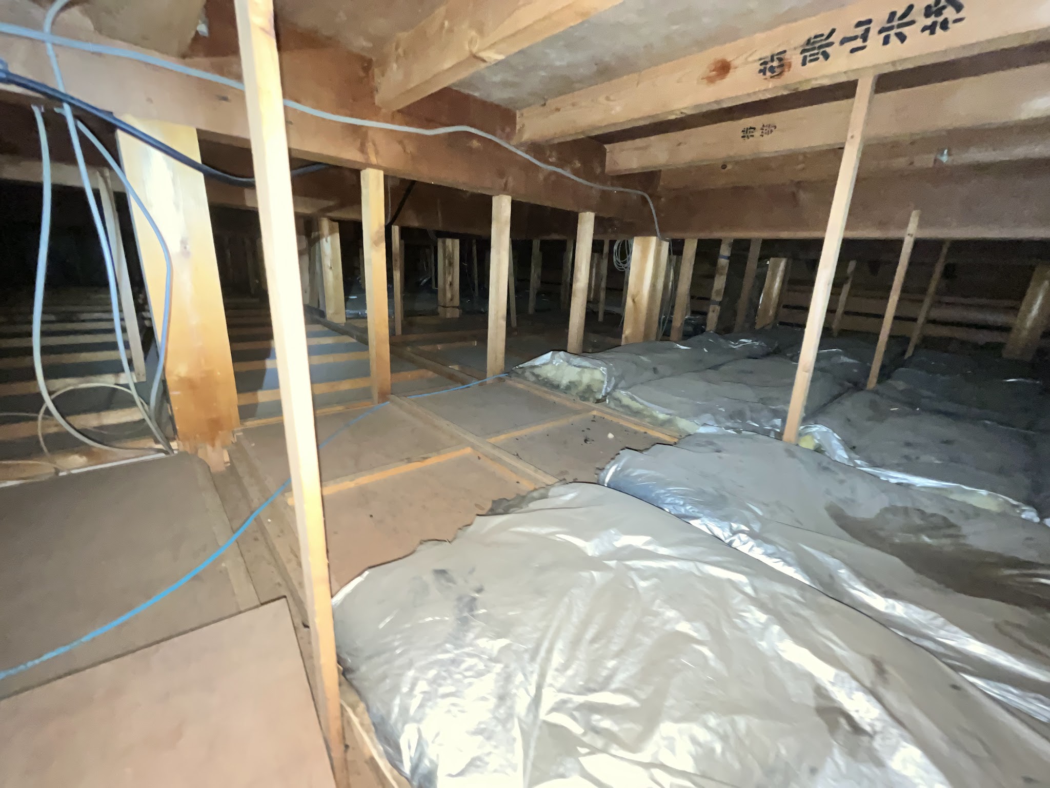 東京都清瀬市中型害獣駆除現場の写真30