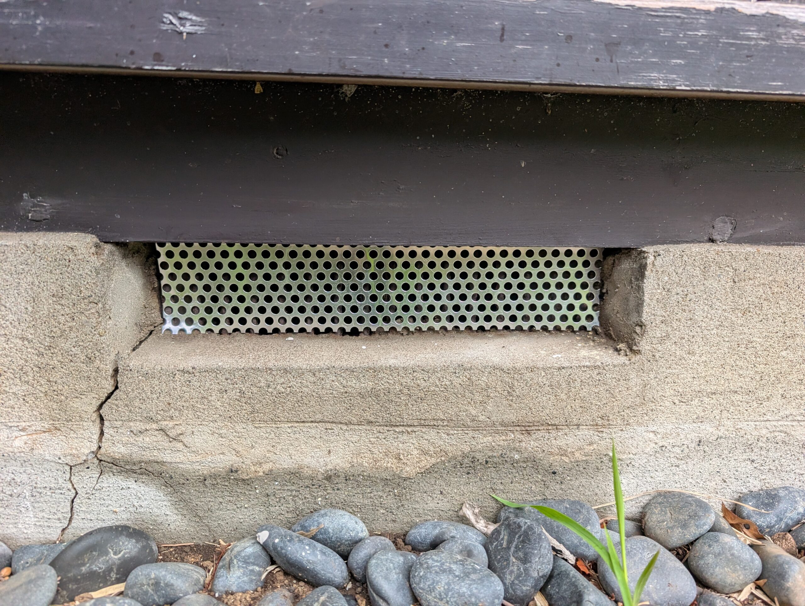 神奈川県横浜市ネズミ駆除現場の写真34