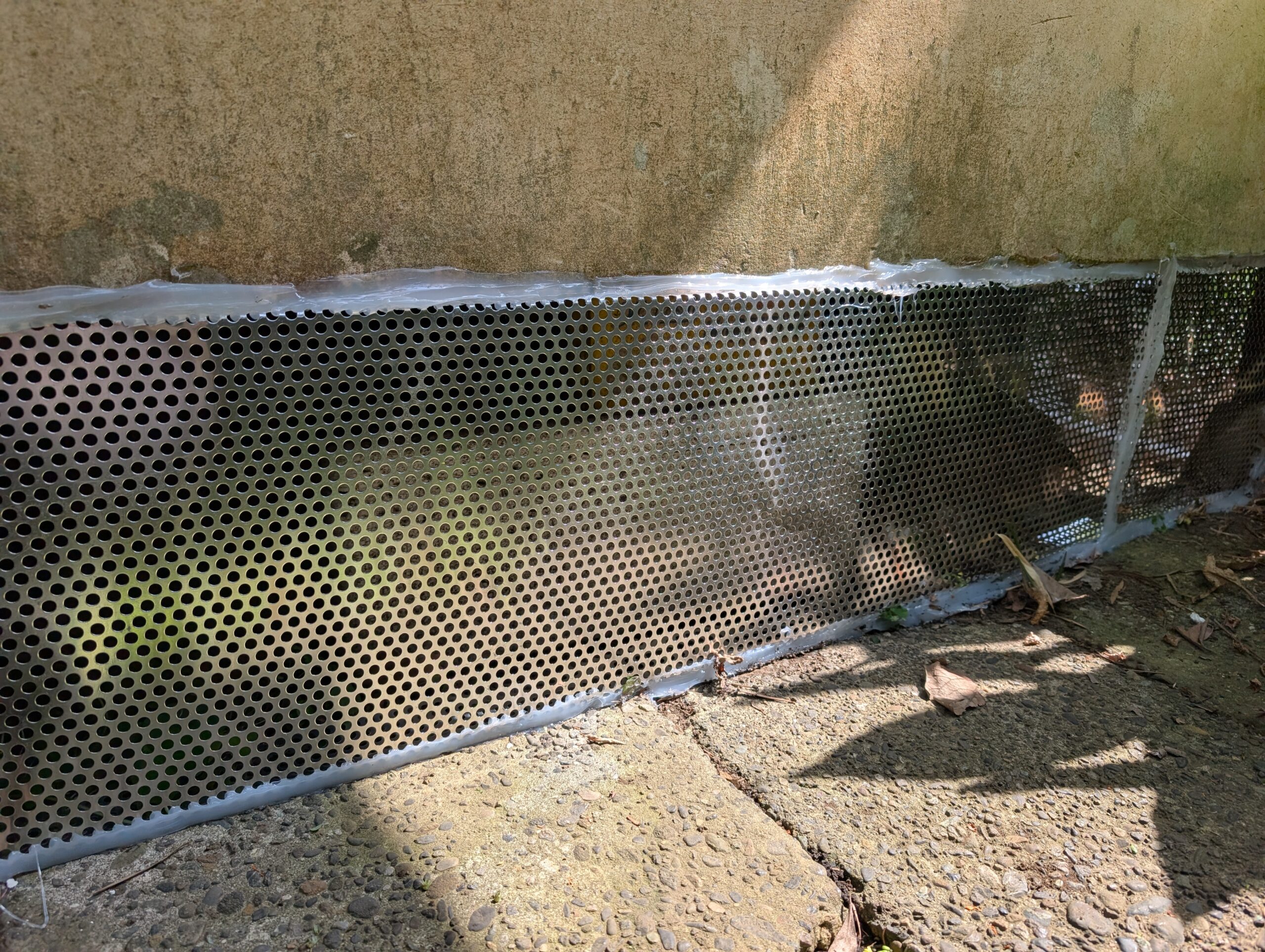 神奈川県横浜市ネズミ駆除現場の写真19