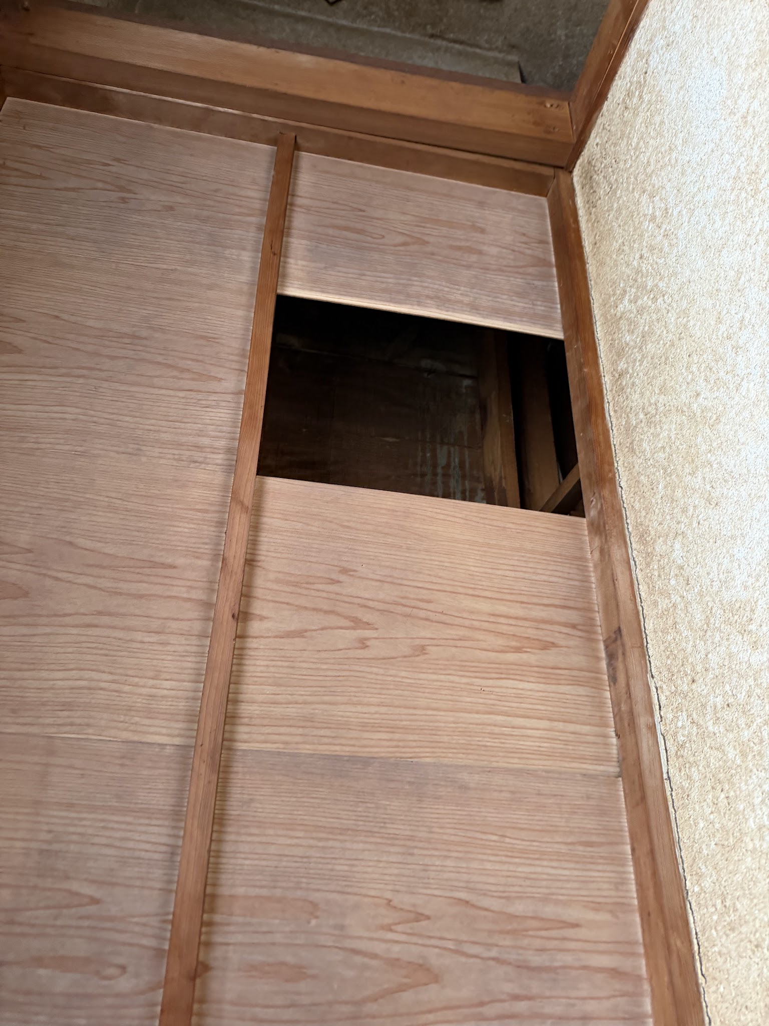 大阪府豊中市ネズミ駆除現場の写真32