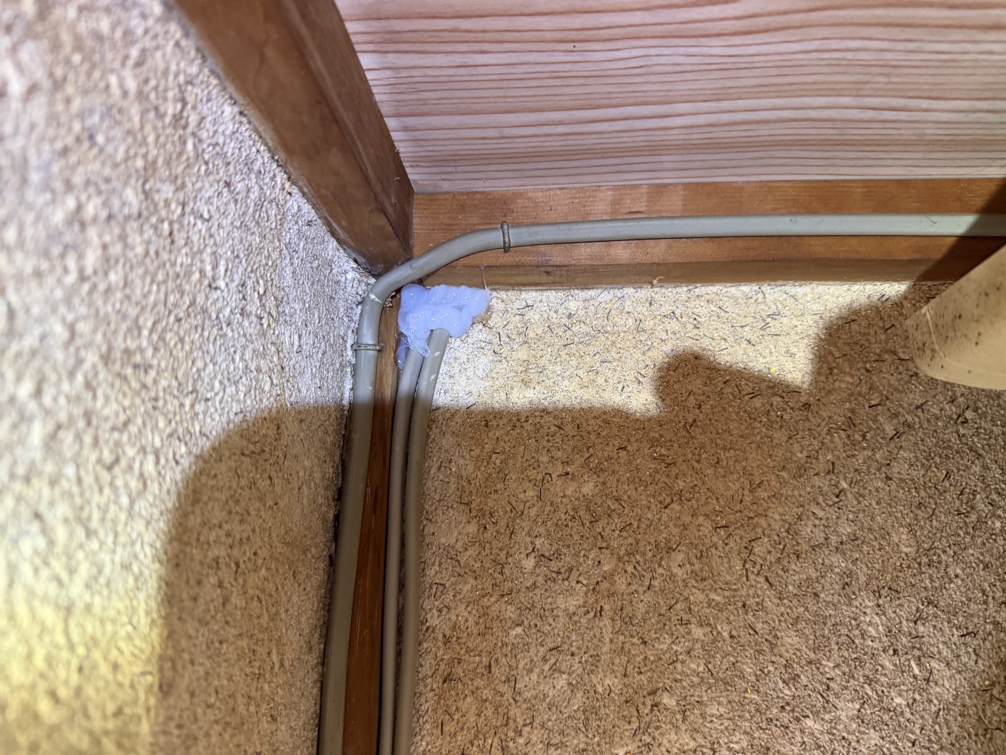 大阪府豊中市ネズミ駆除現場の写真13