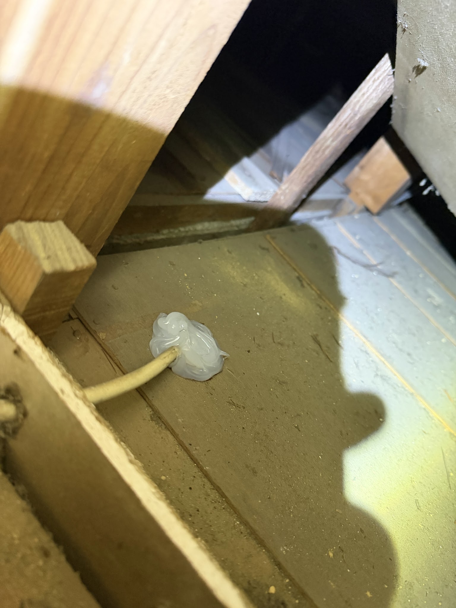 大阪府豊中市ネズミ駆除現場の写真28