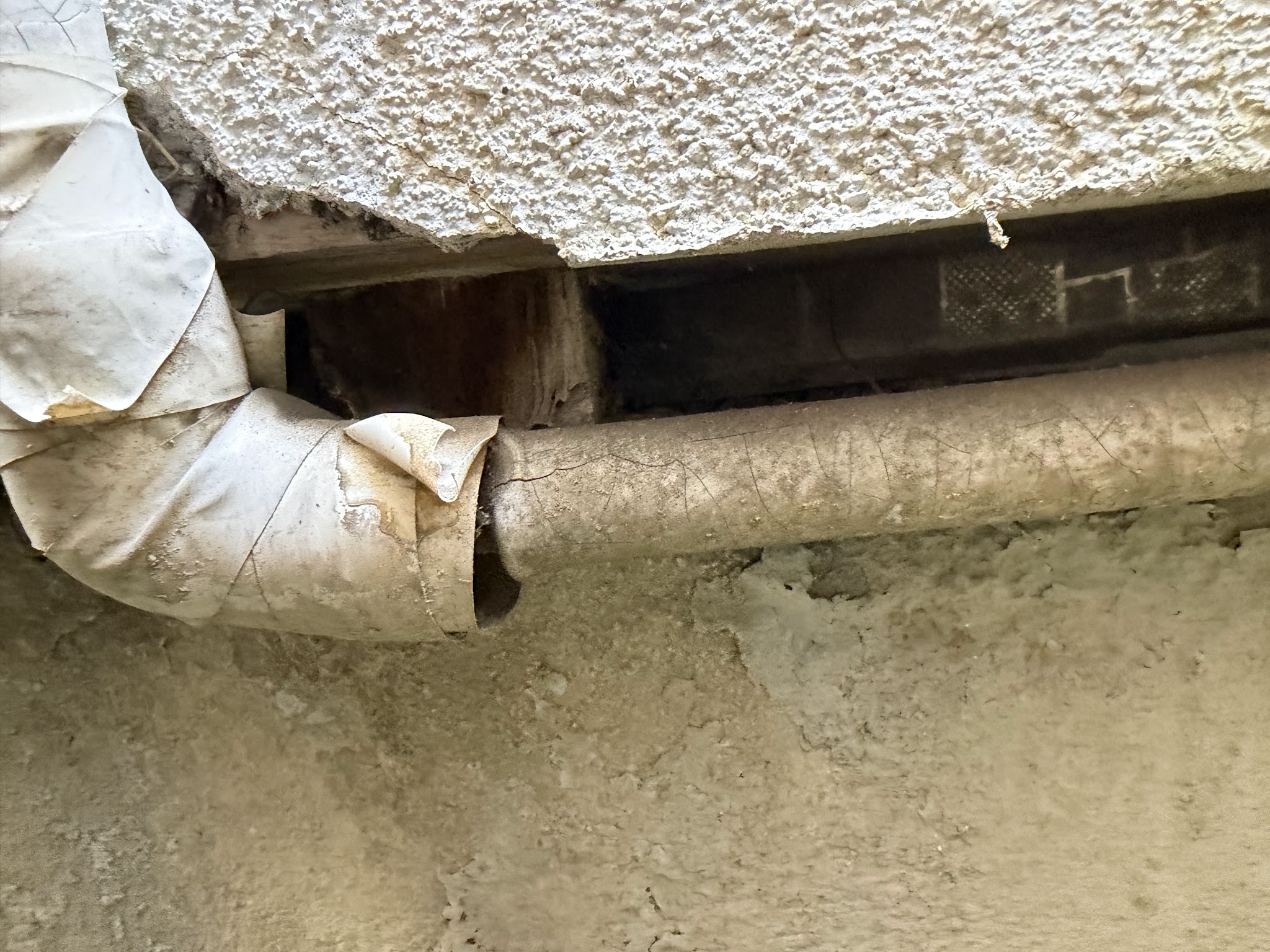 大阪府豊中市ネズミ駆除現場の写真41