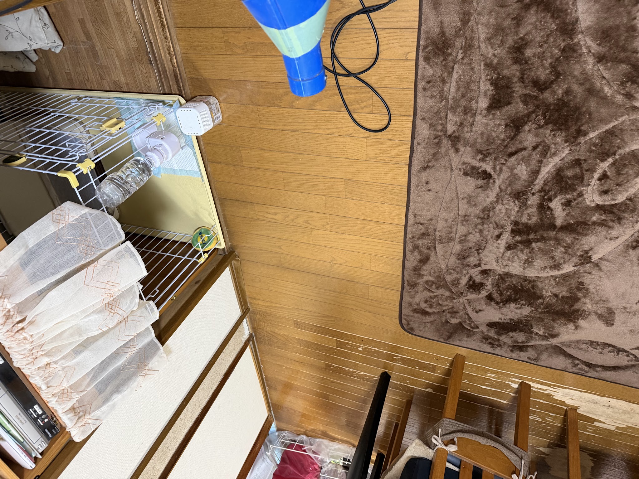 大阪府豊中市ネズミ駆除現場の写真3